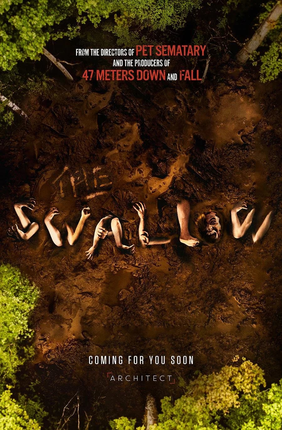 Poster for The Swallow
