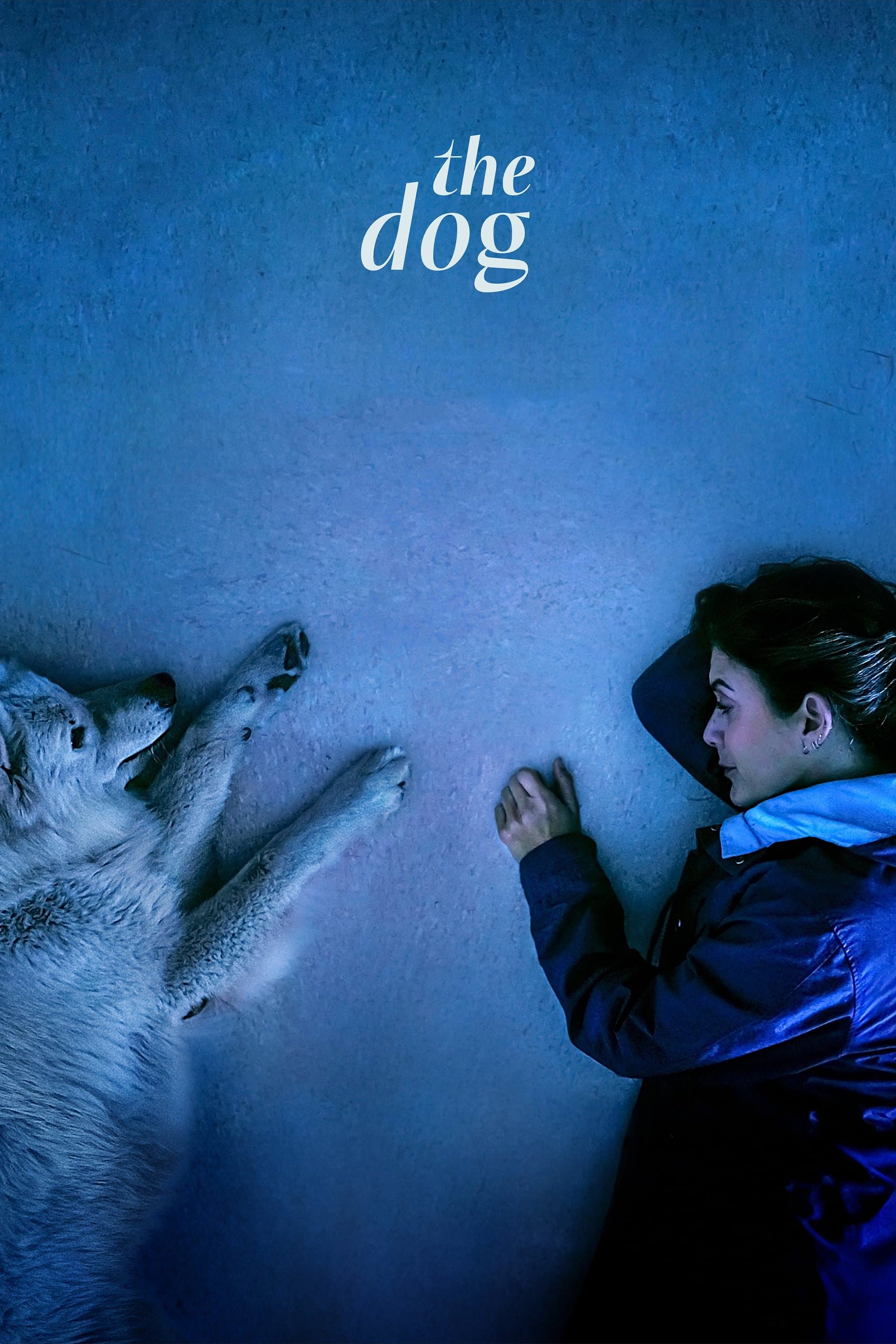 Poster for The Dog