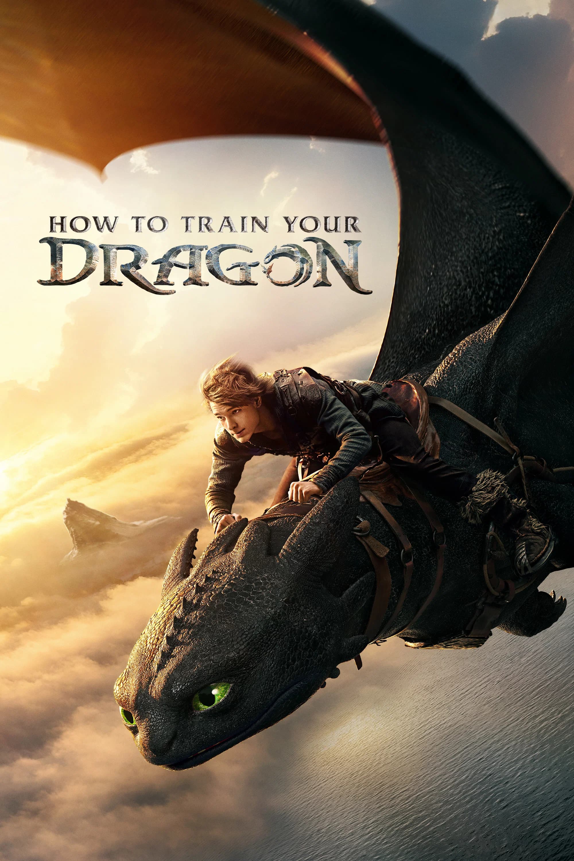 Poster for How to Train Your Dragon