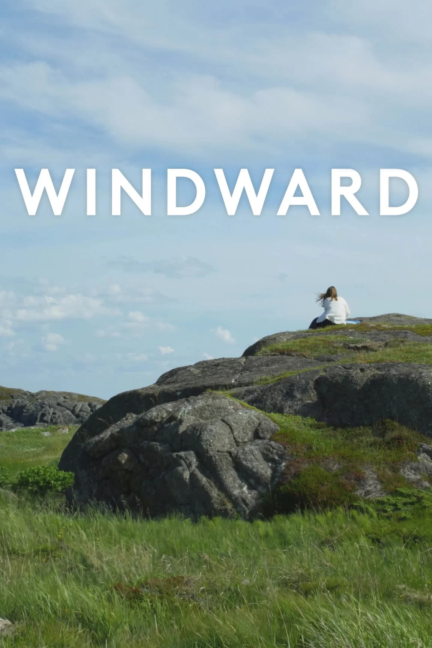 Poster for Windward