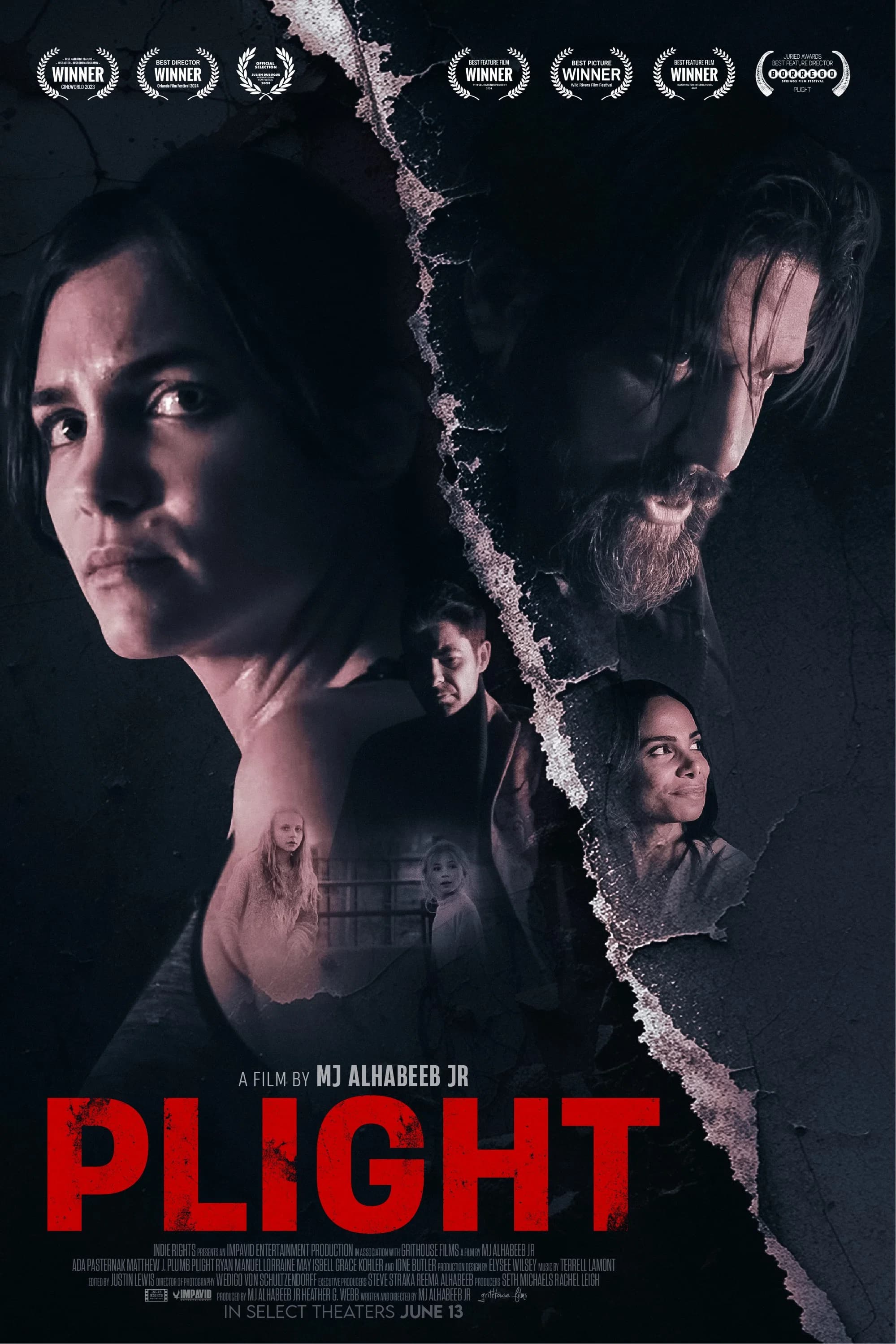 Poster for Plight