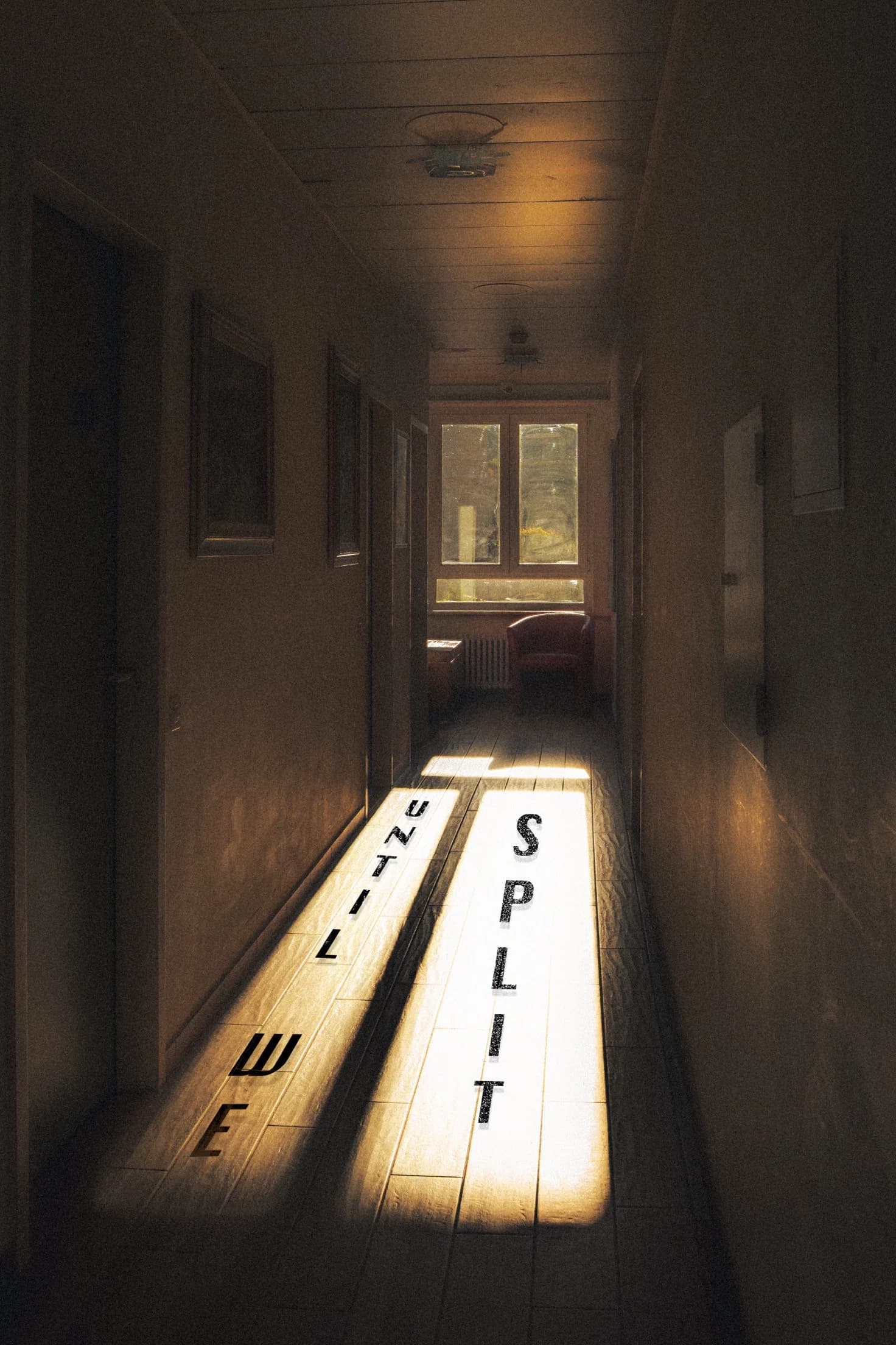 Poster for Until We Split