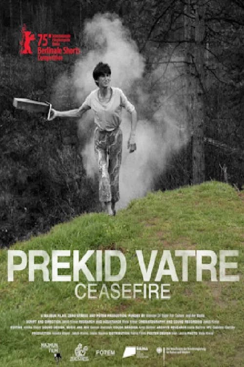 Poster for Ceasefire