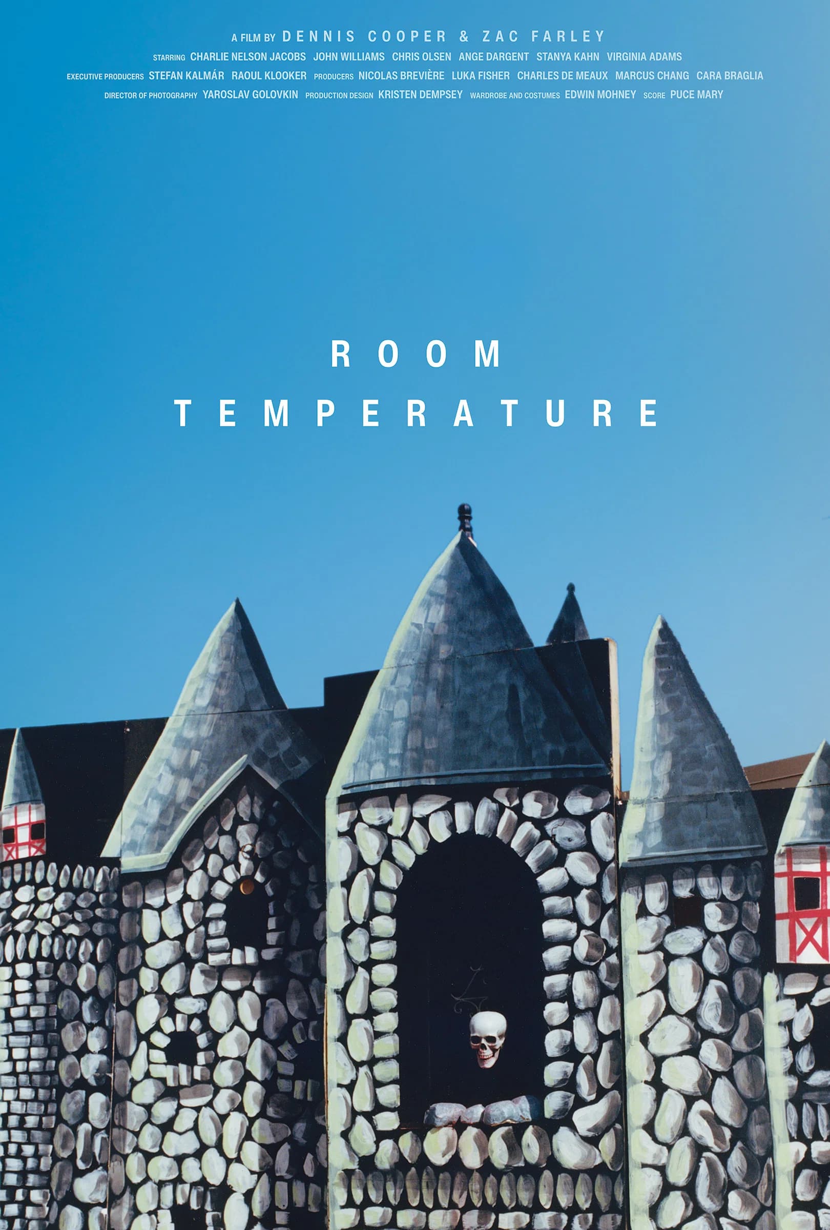 Poster for Room Temperature