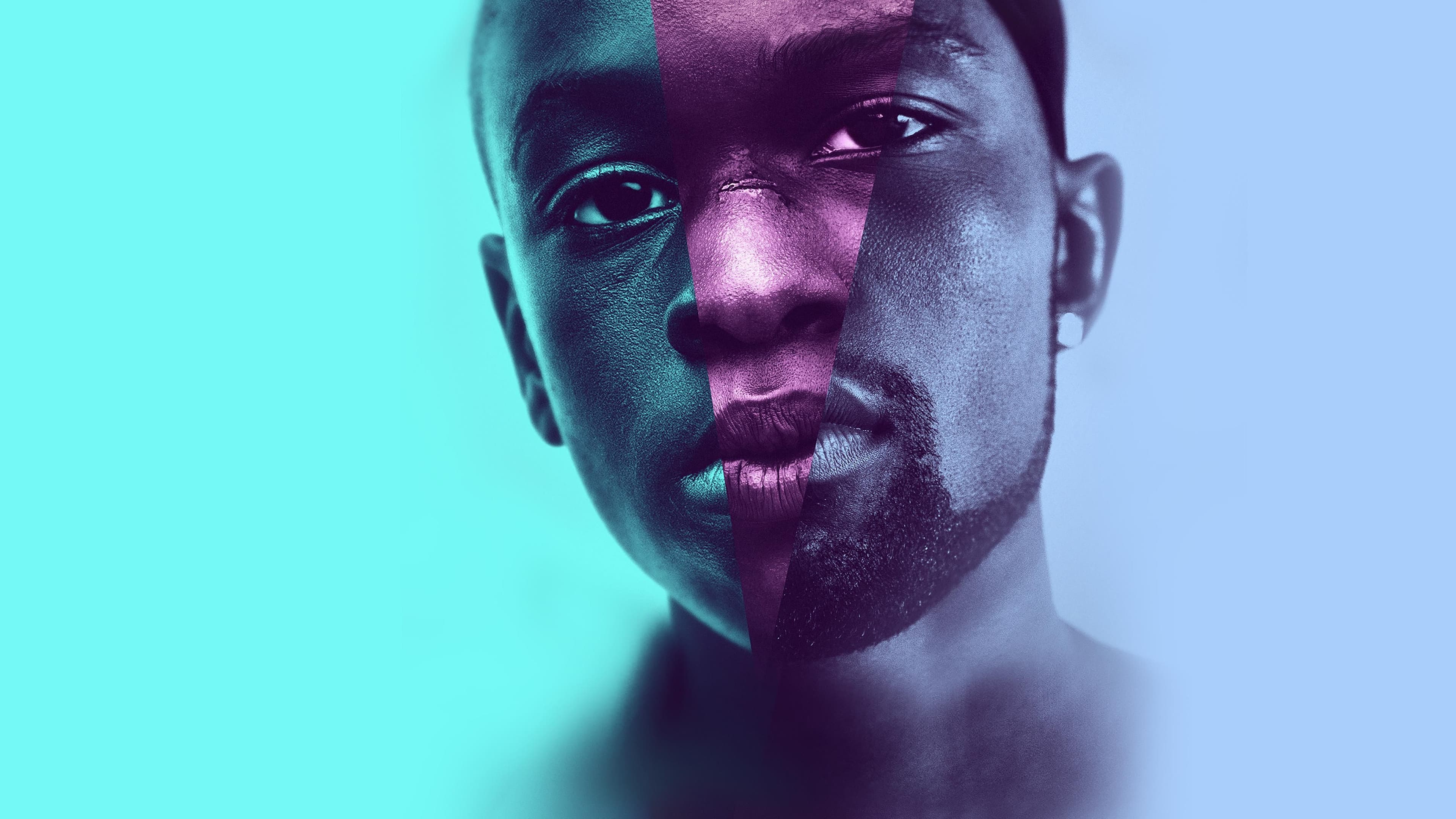 Backdrop for Moonlight