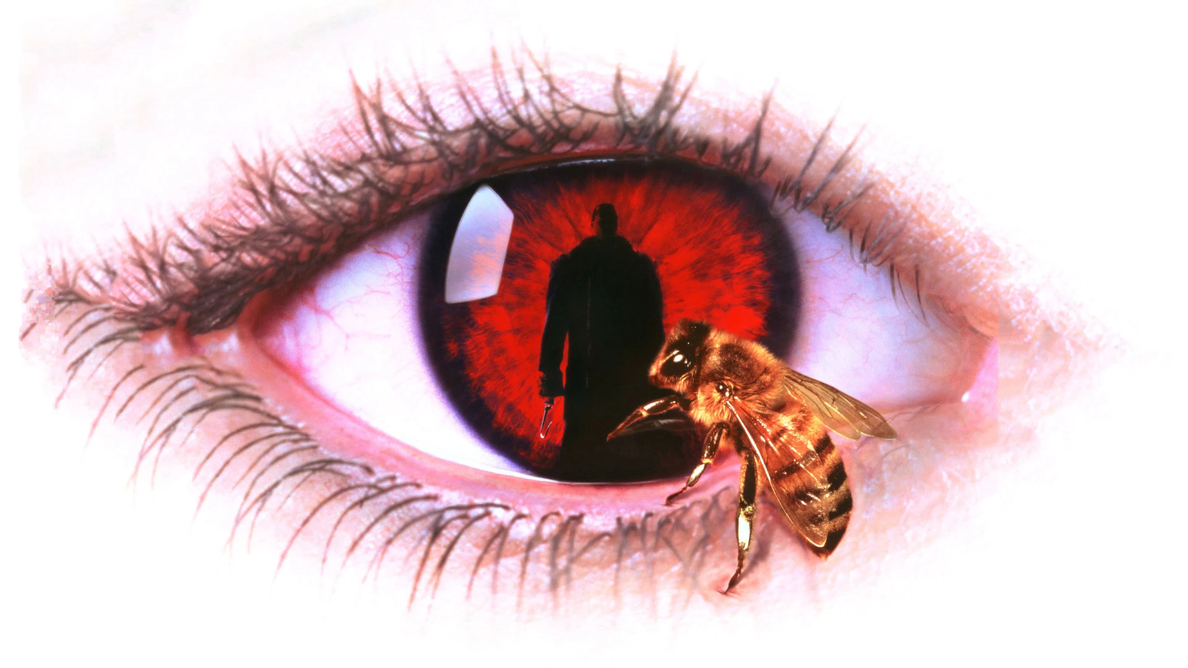 Backdrop for Candyman