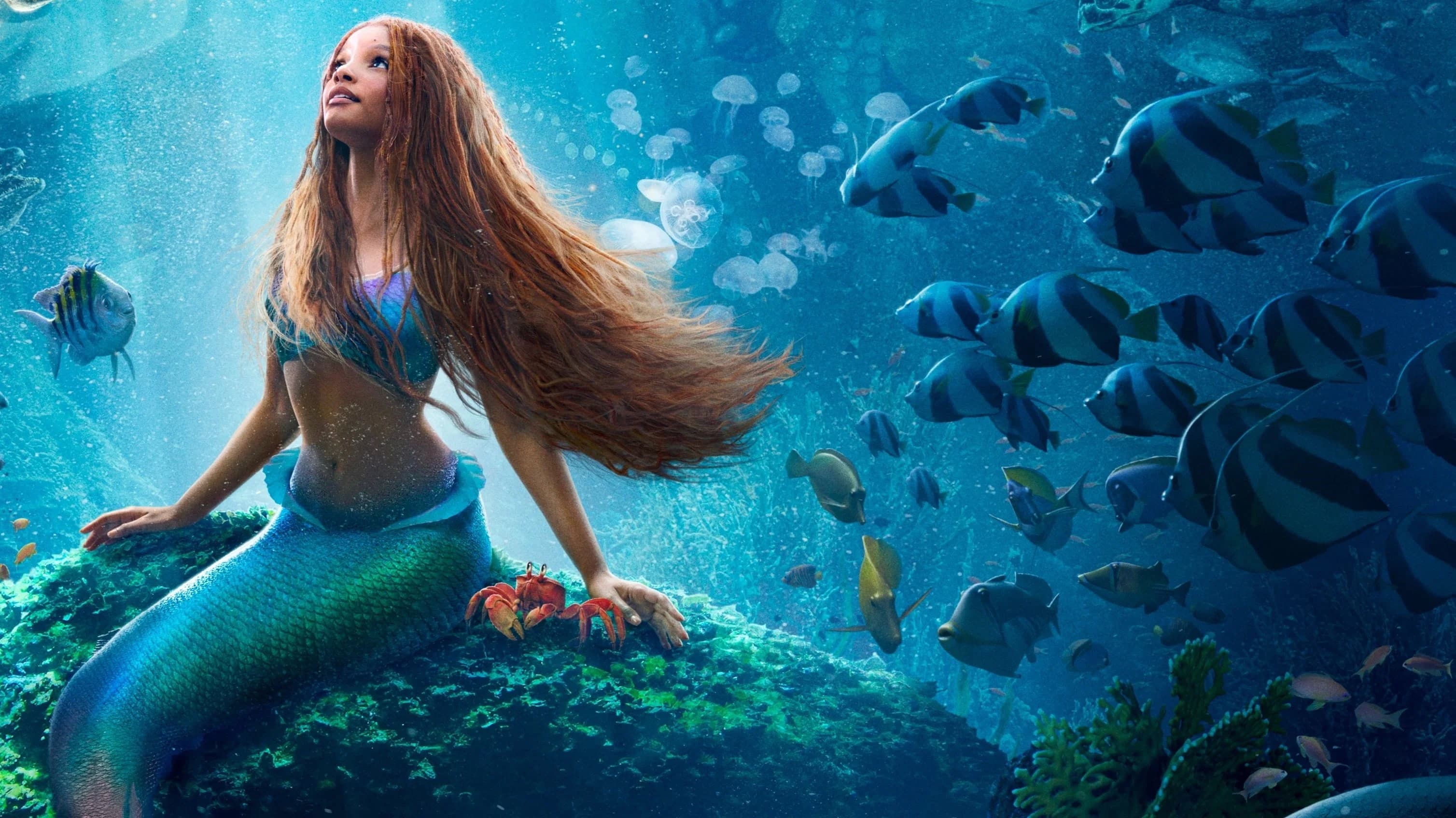 Backdrop for The Little Mermaid