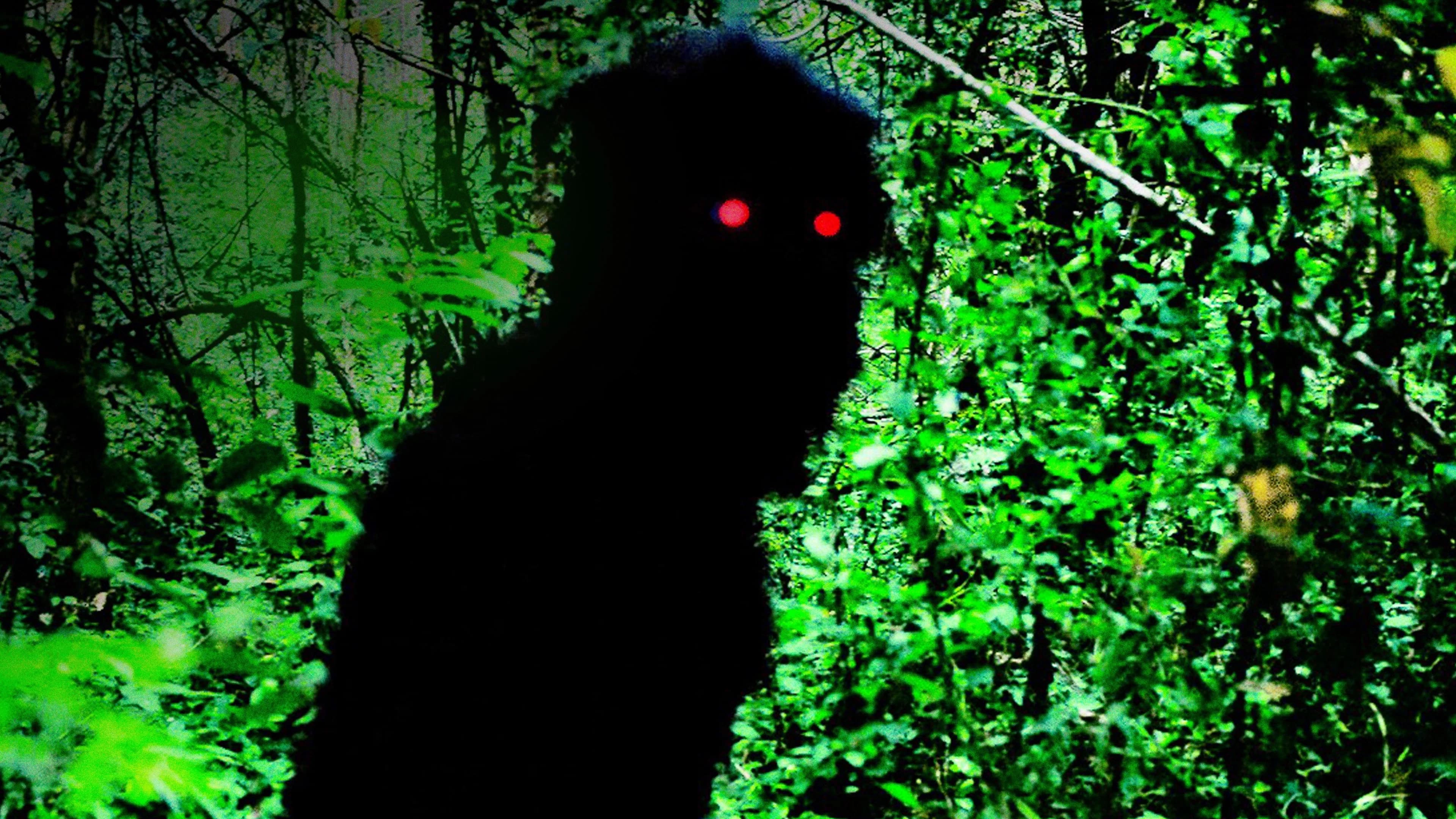 Backdrop for Uncle Boonmee Who Can Recall His Past Lives