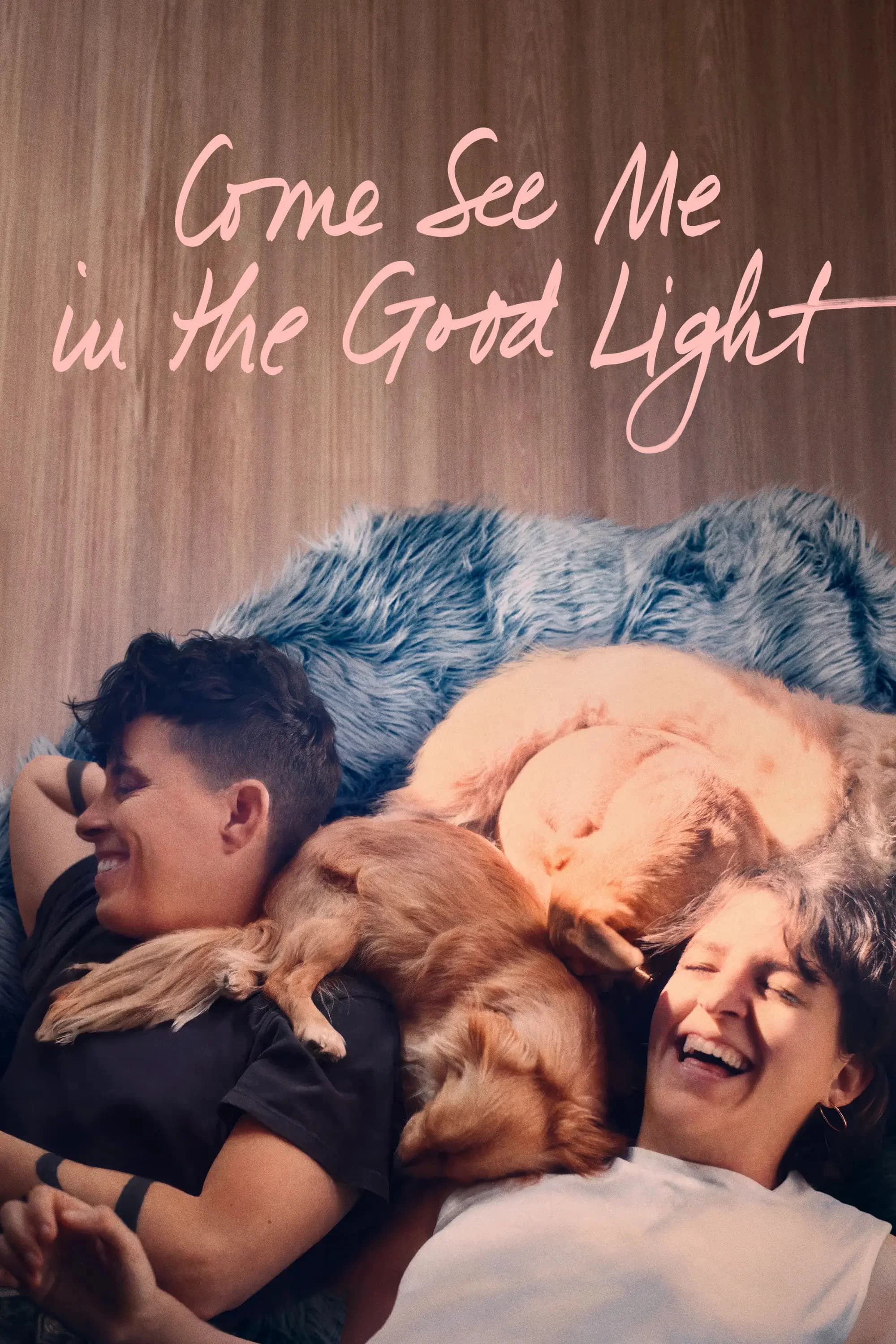 Poster for Come See Me in the Good Light