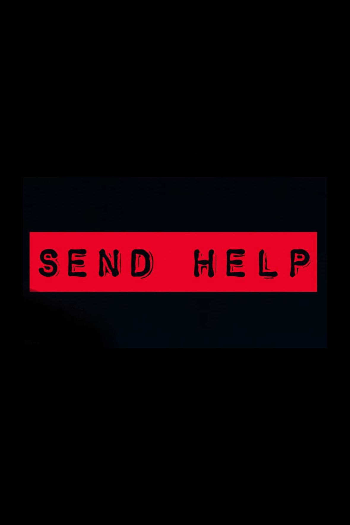 Poster for Send Help