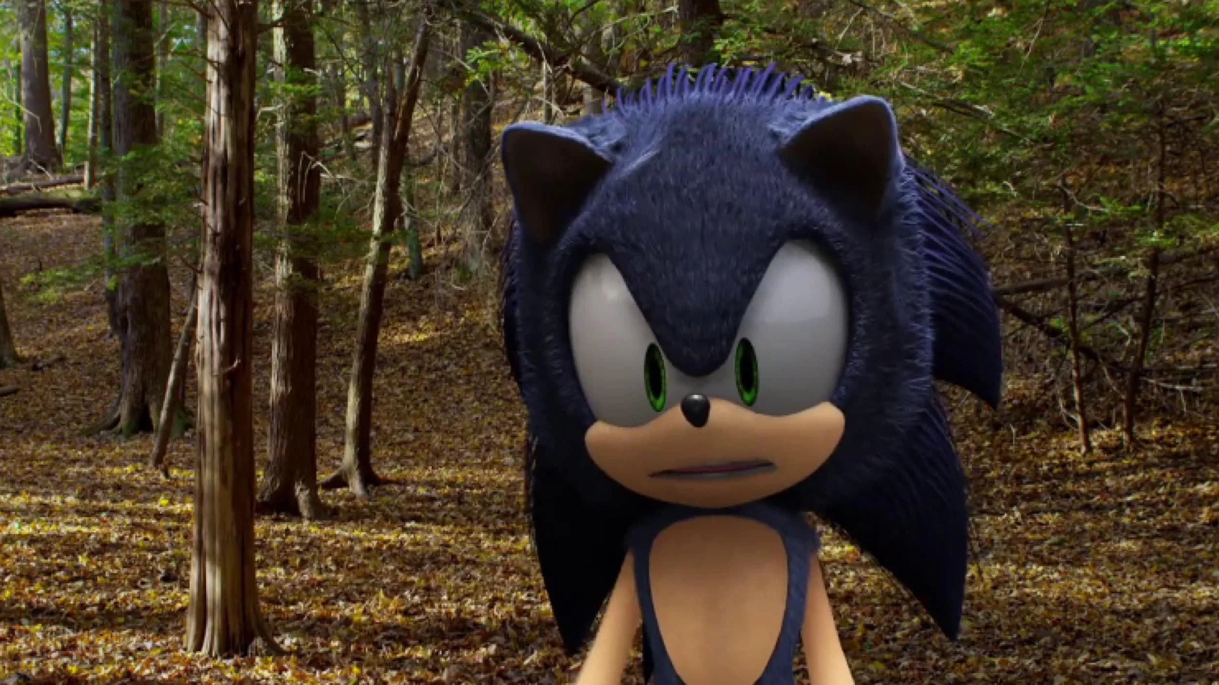 Backdrop for Sonic