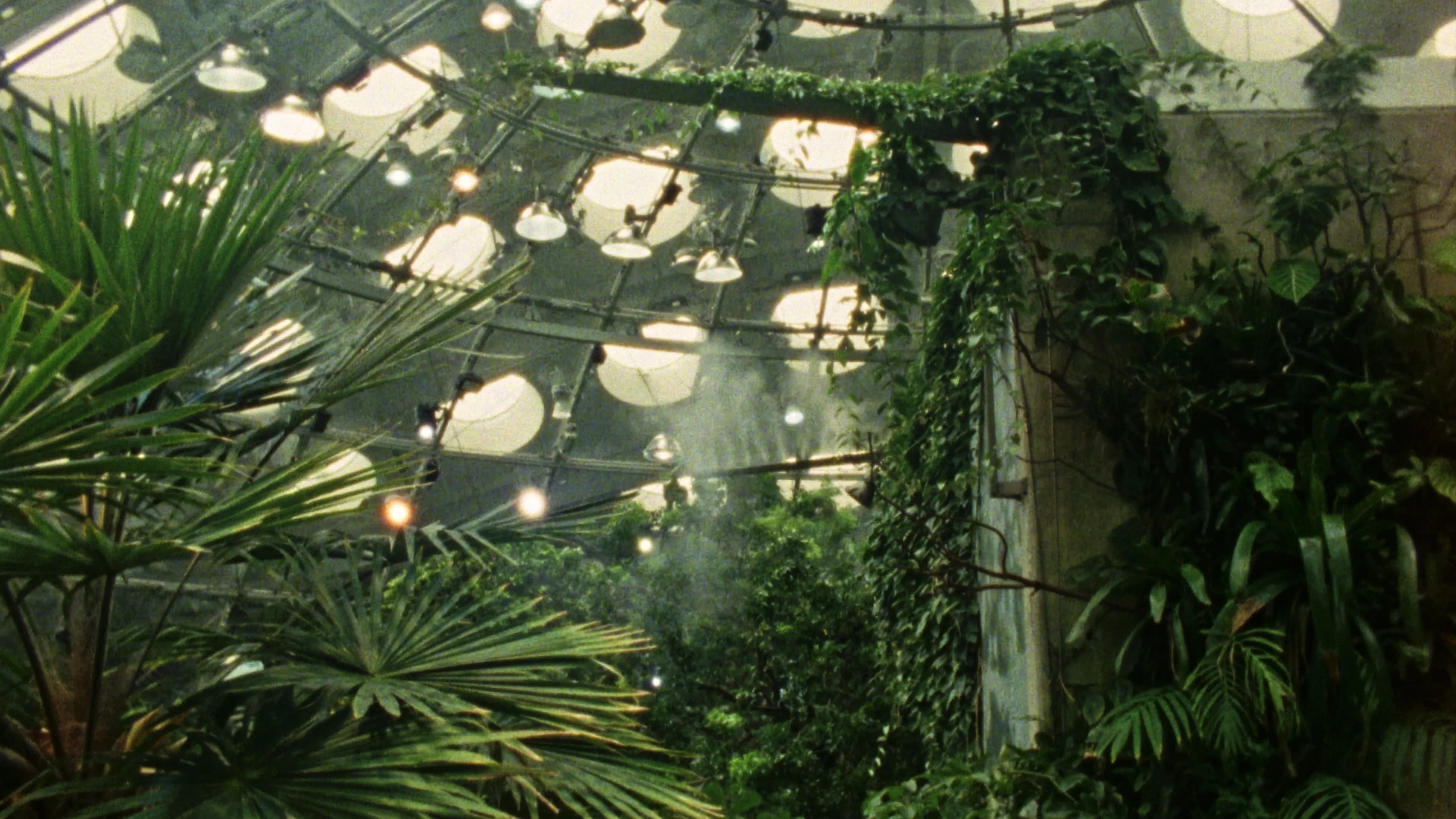 Backdrop for Tropical Fractals