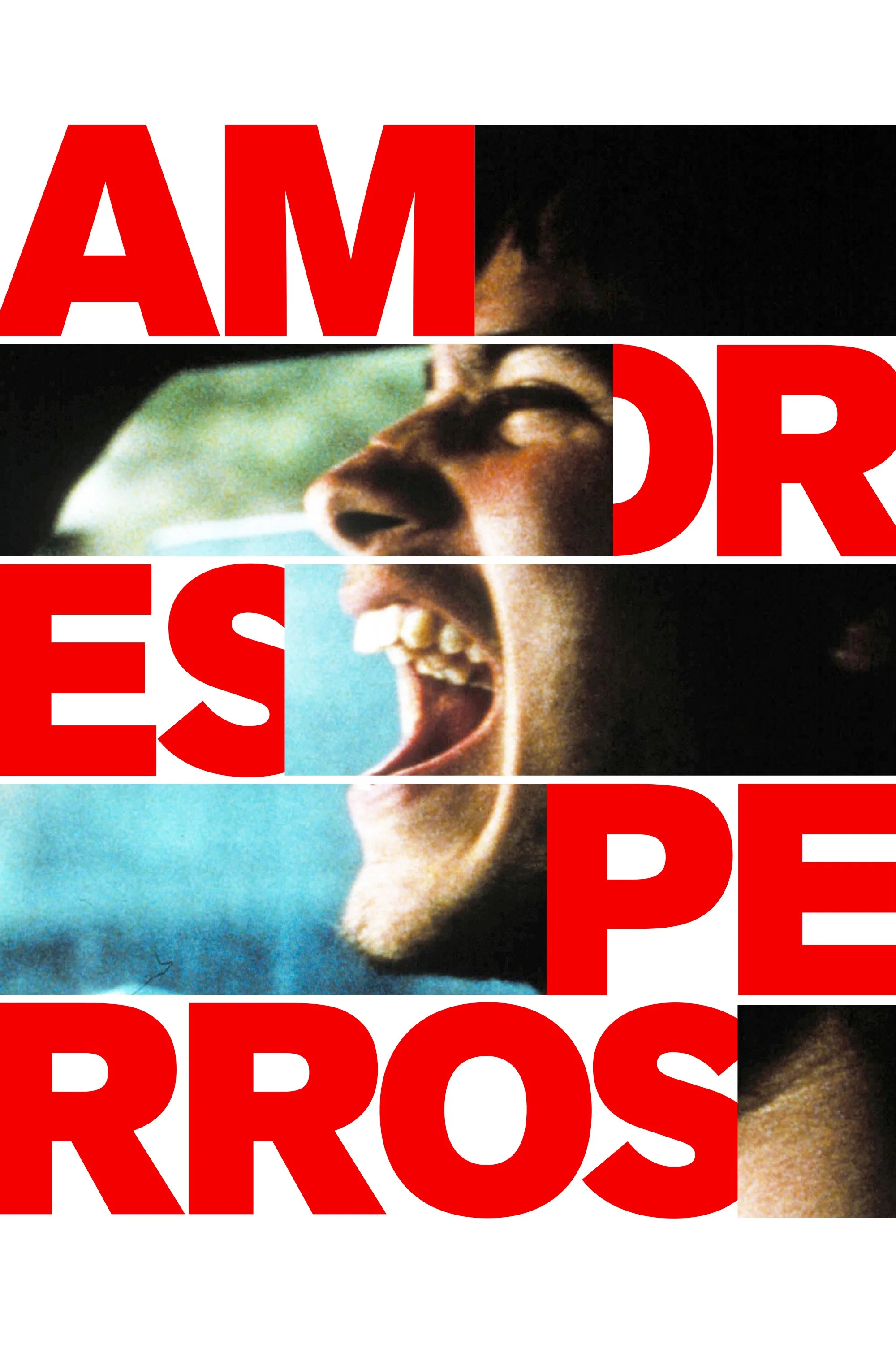 Poster for Amores Perros