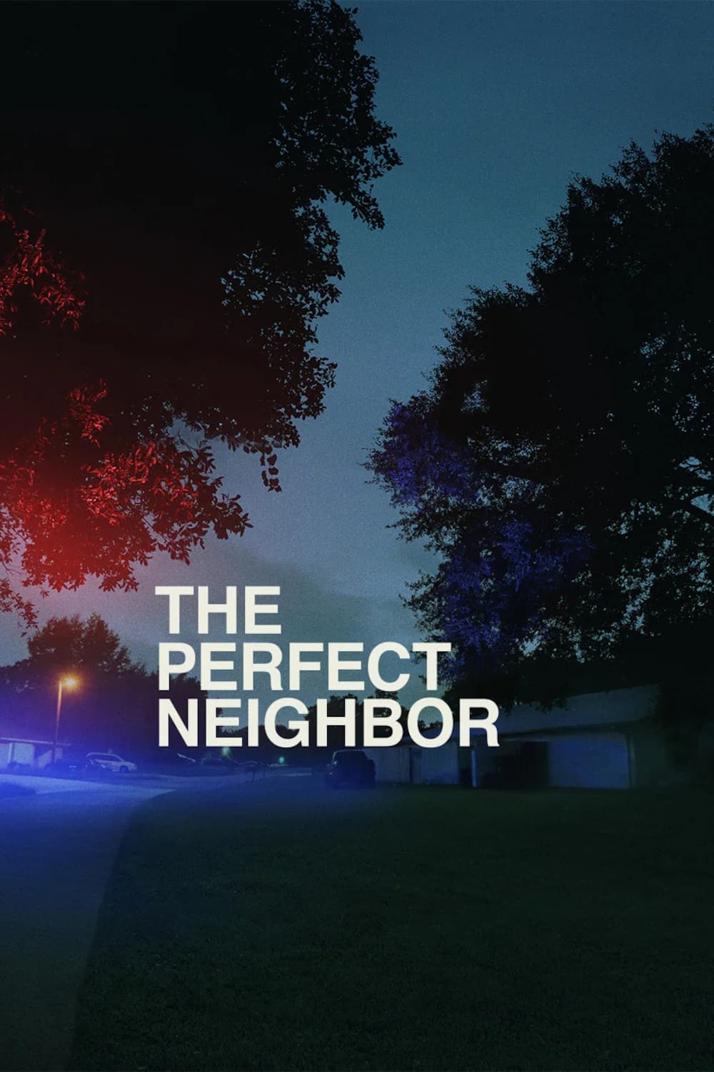 Poster for The Perfect Neighbor