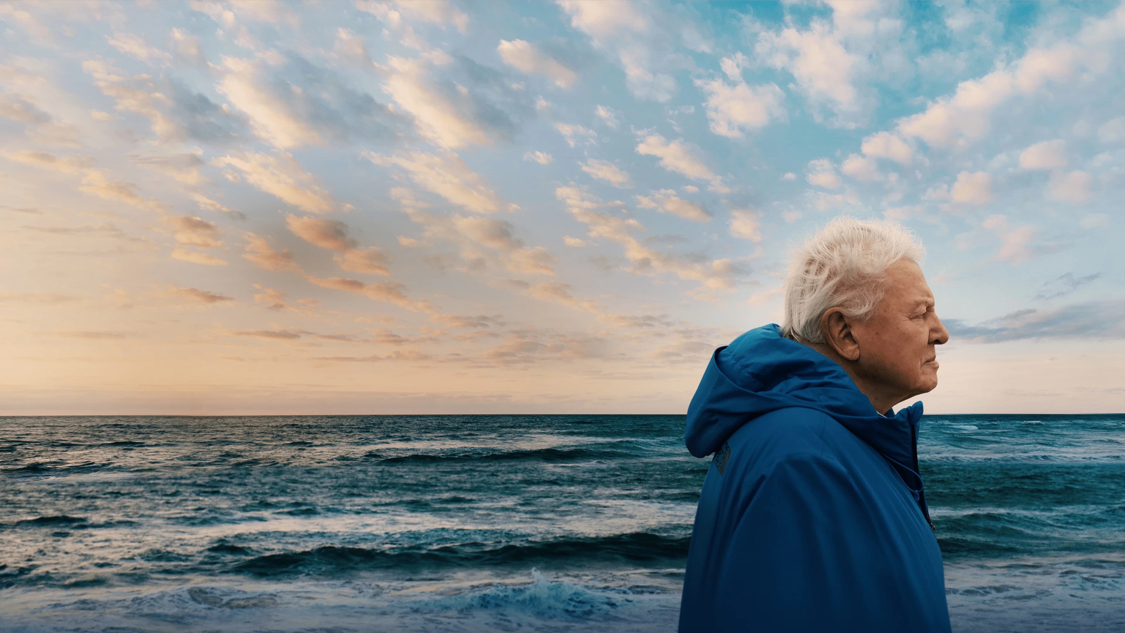 Backdrop for Ocean with David Attenborough