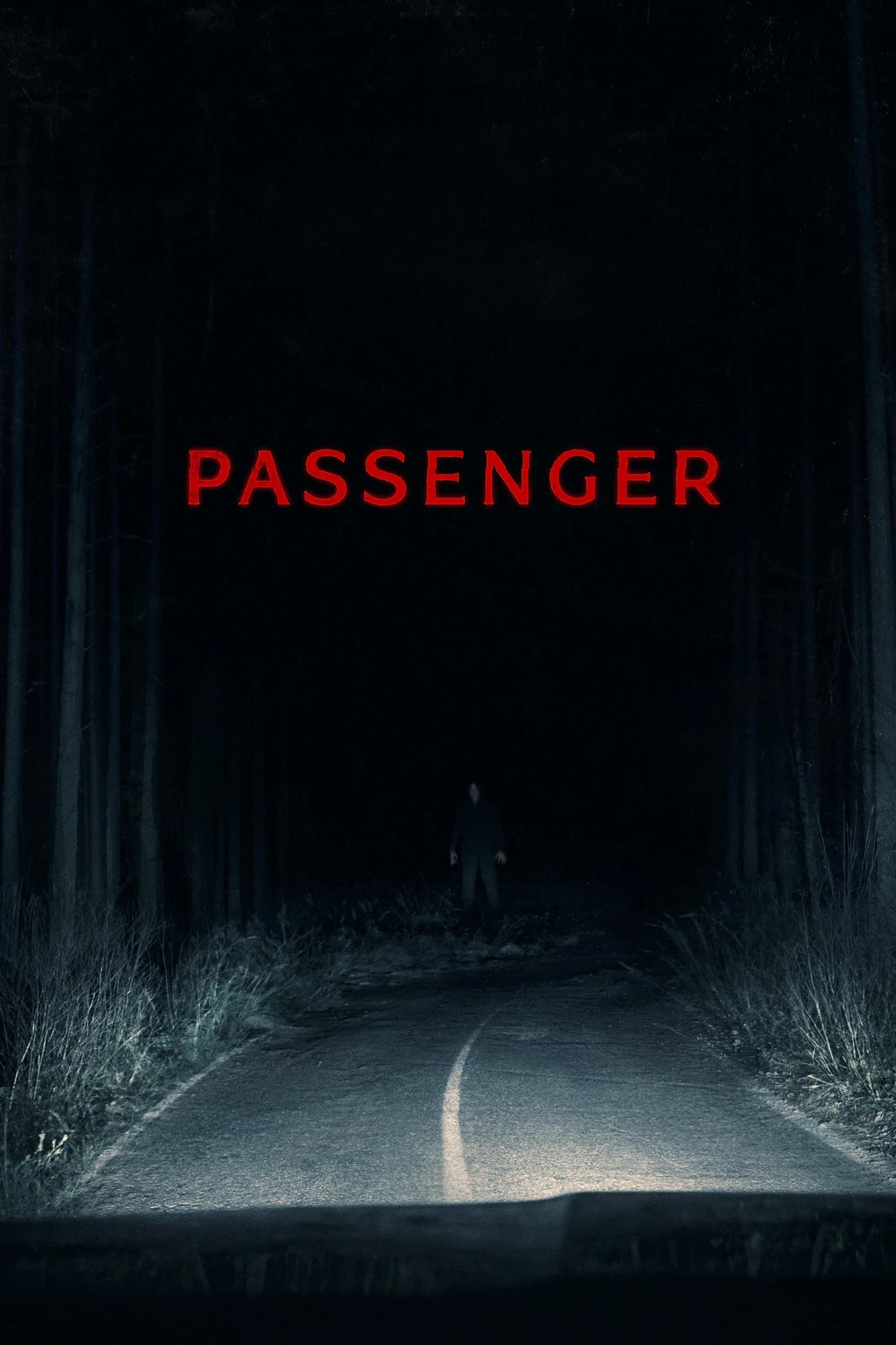 Poster for Passenger
