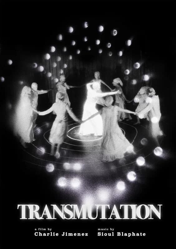 Poster for Transmutation