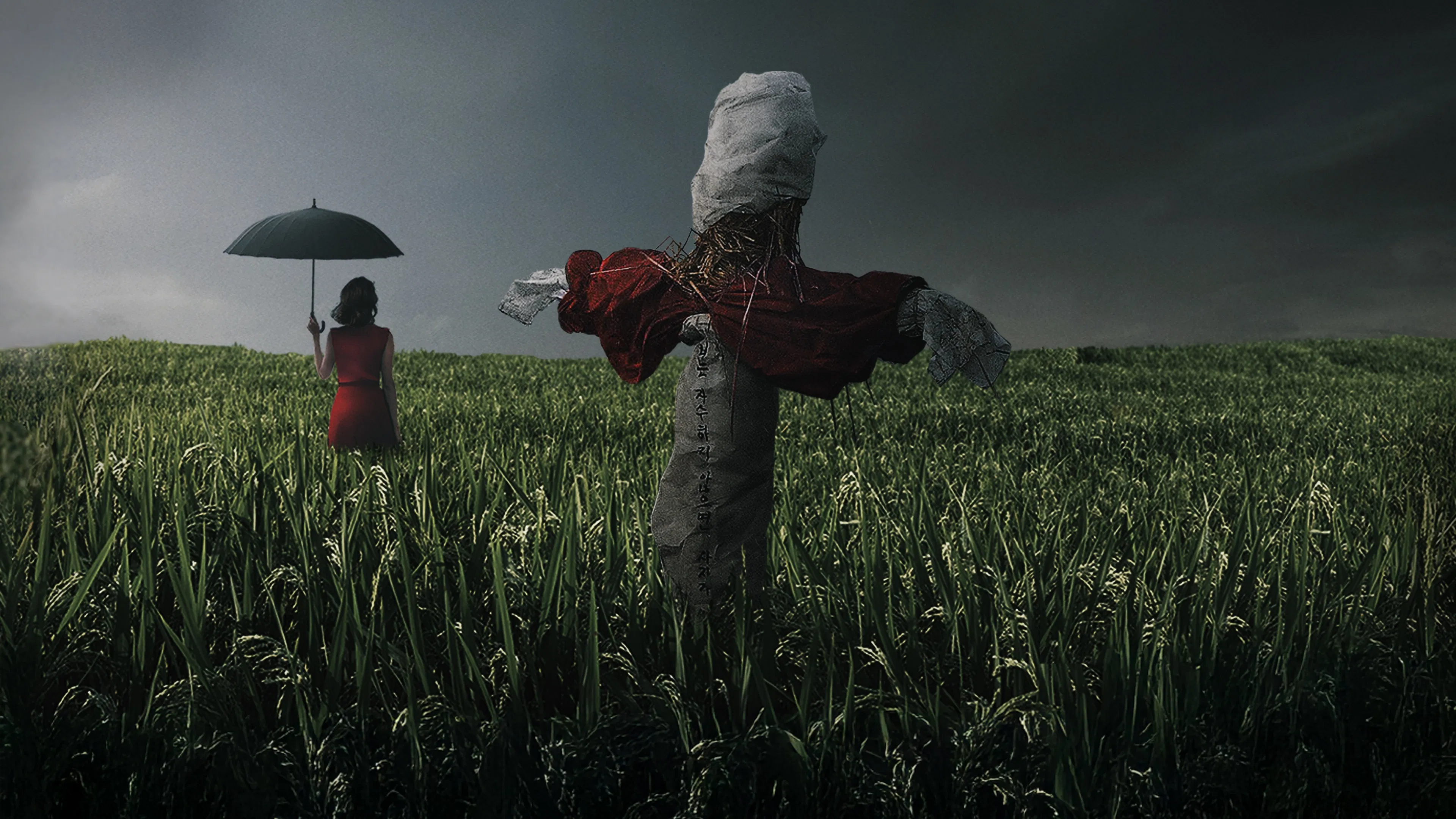 Backdrop for Memories of Murder