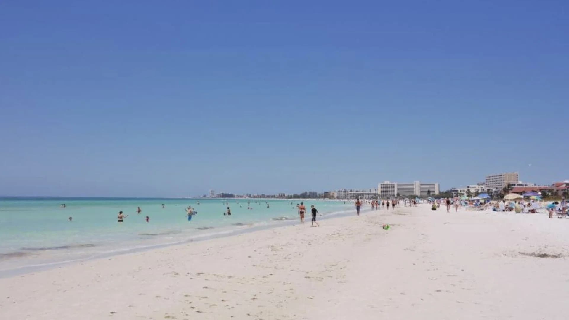 Backdrop for Beach day