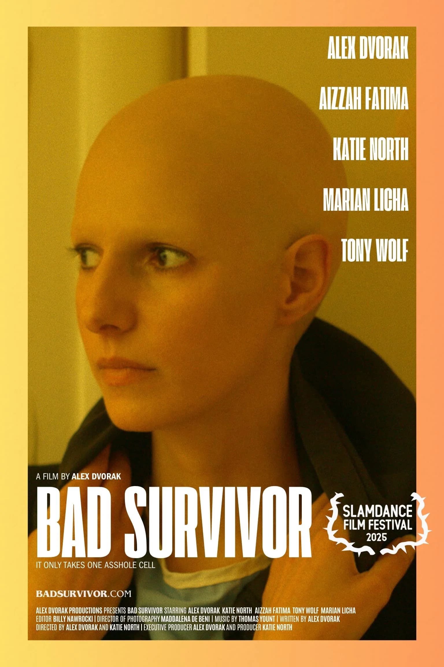Poster for BAD SURVIVOR