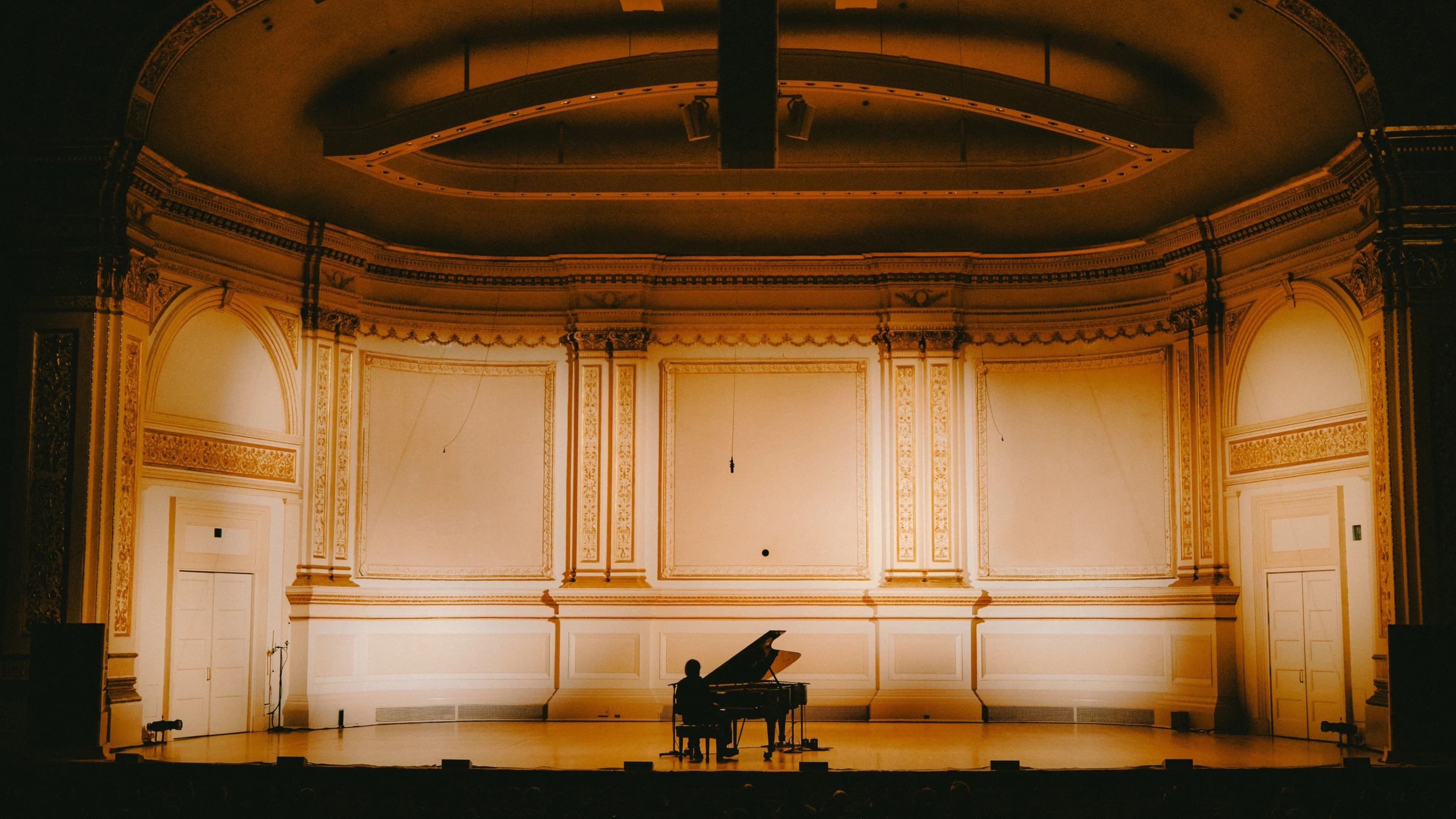 Backdrop for Cameron Winter at Carnegie Hall