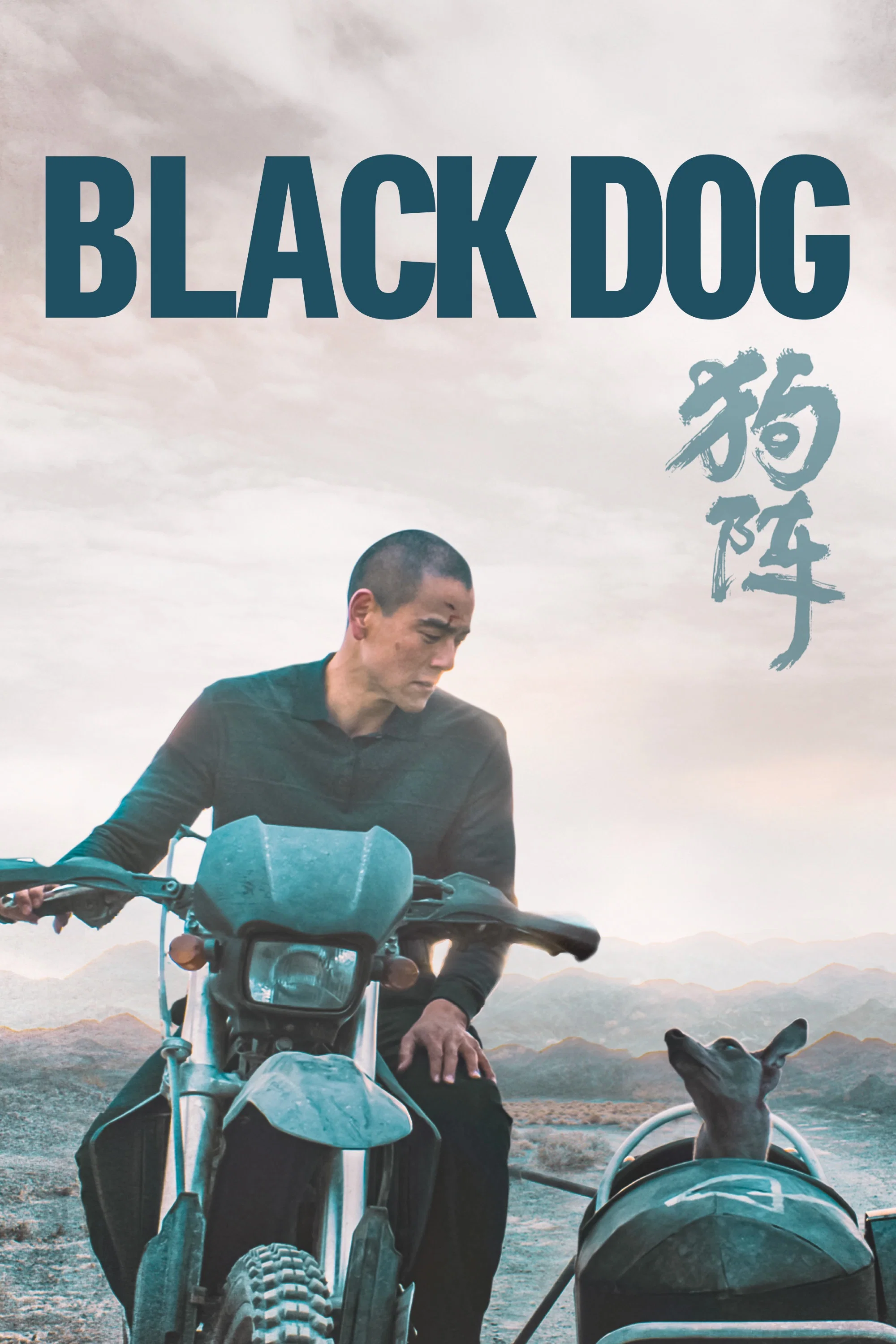 Poster for Black Dog