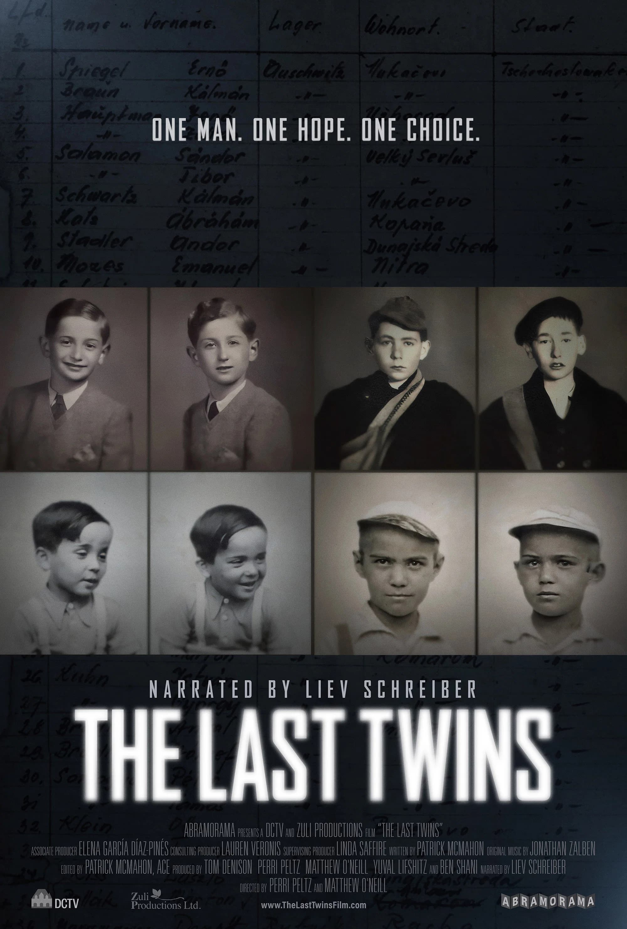 Poster for The Last Twins