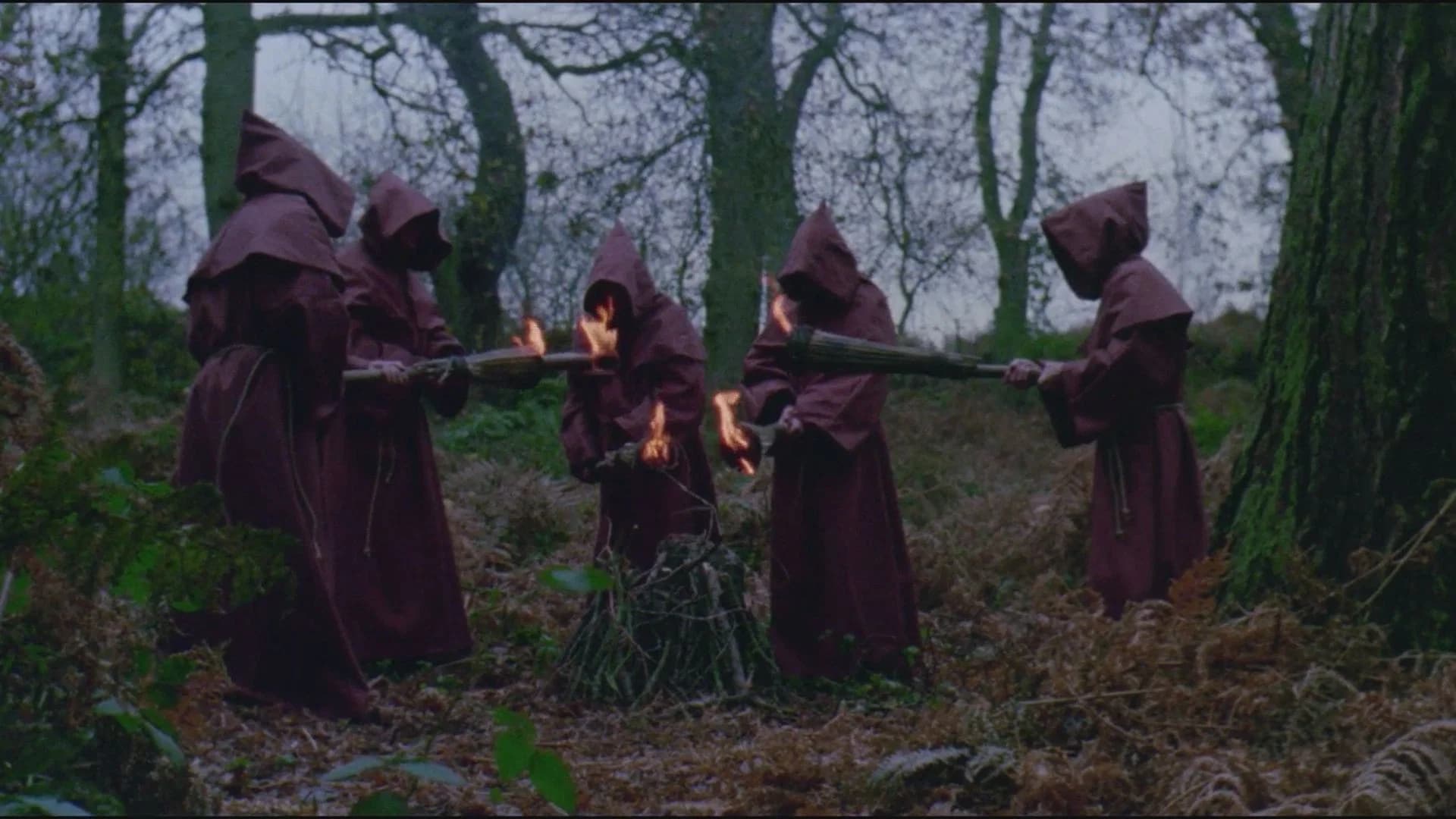 Backdrop for The Last Sacrifice