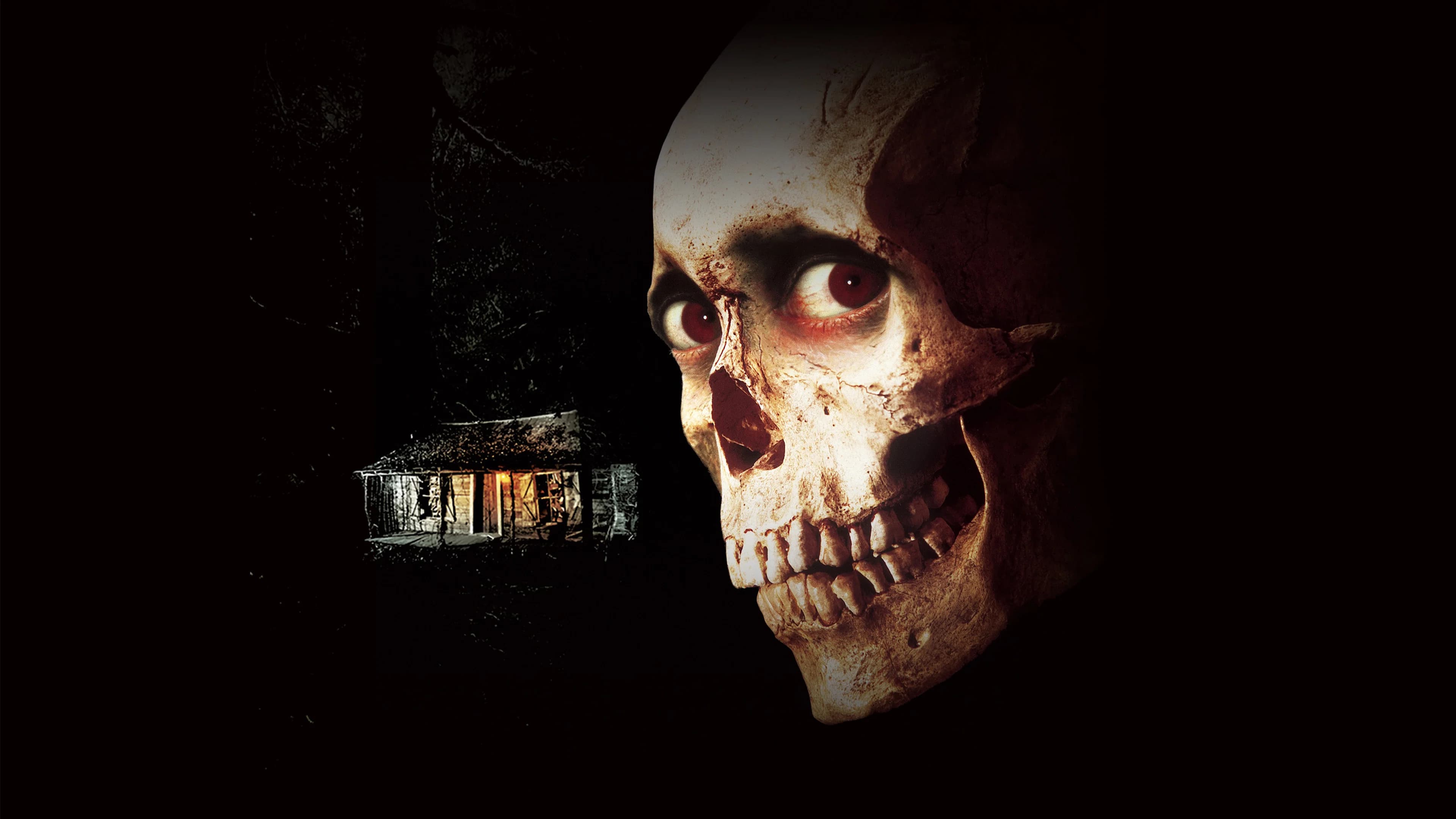 Backdrop for Evil Dead II
