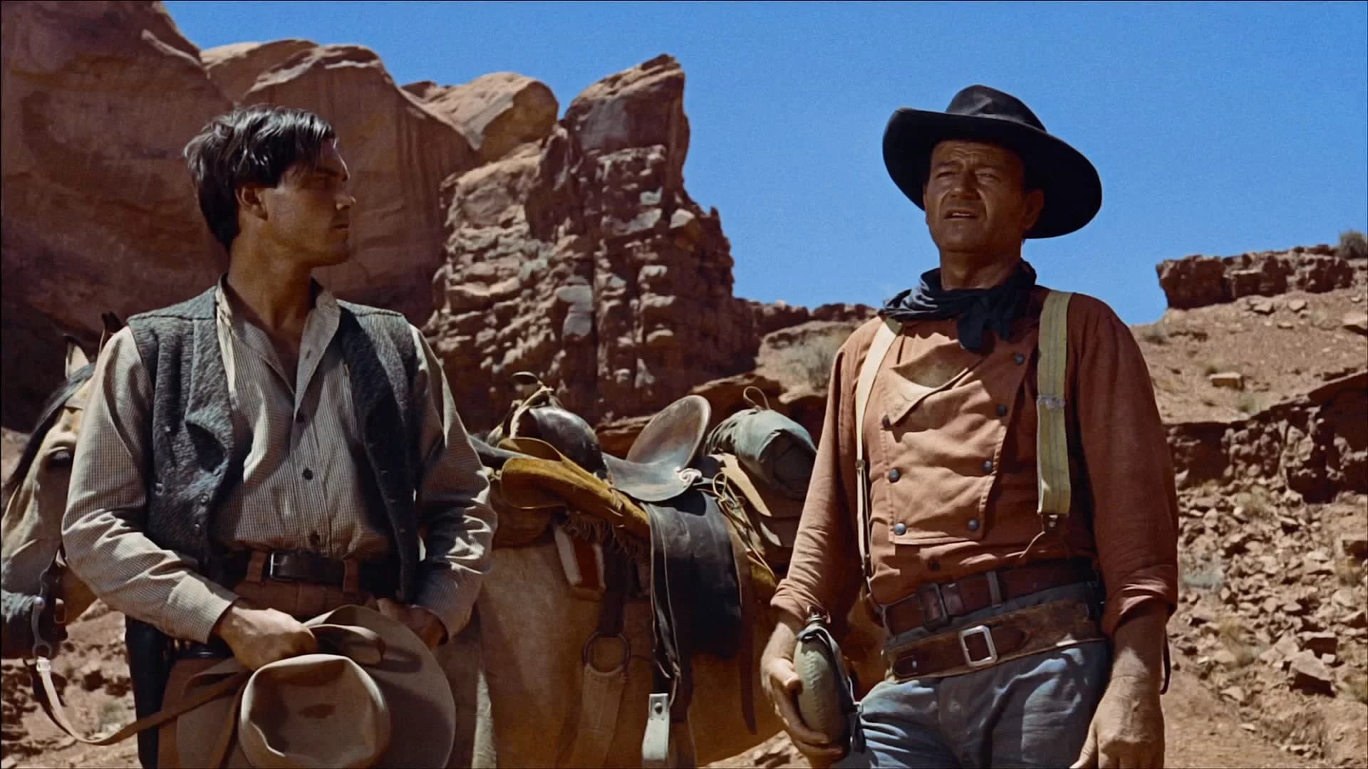 Backdrop for The Searchers