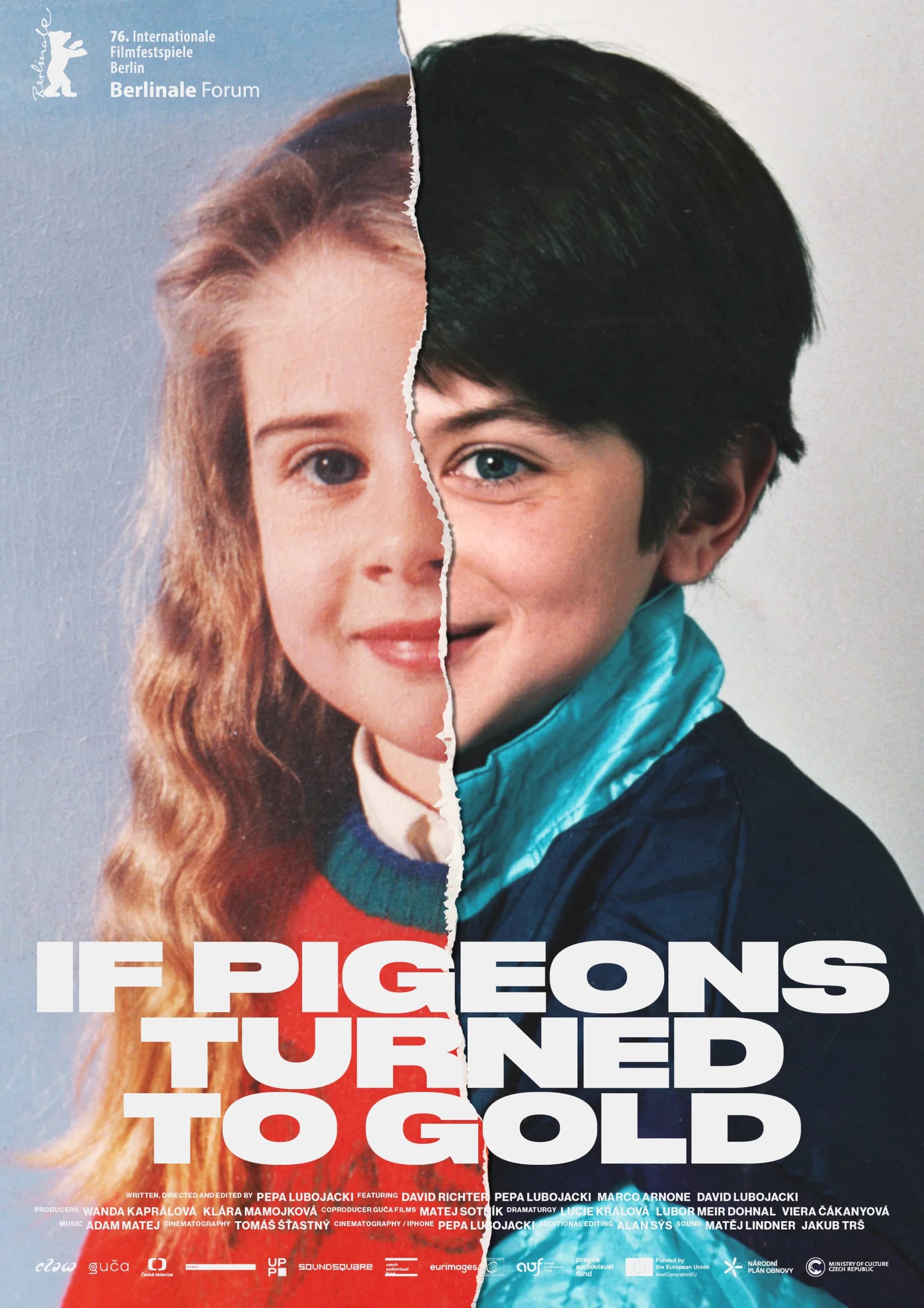 Poster for If Pigeons Turned to Gold