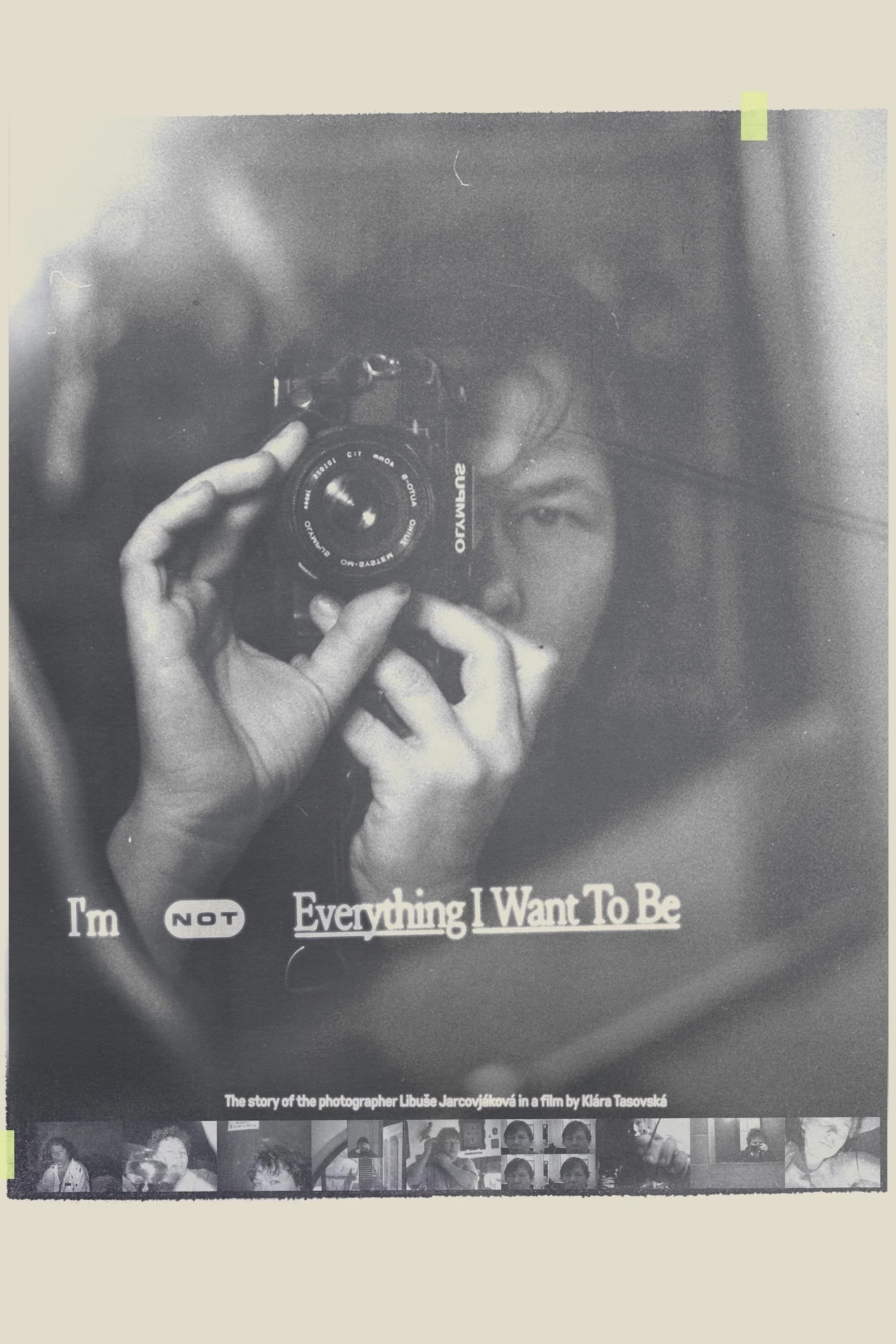 Poster for I'm Not Everything I Want to Be