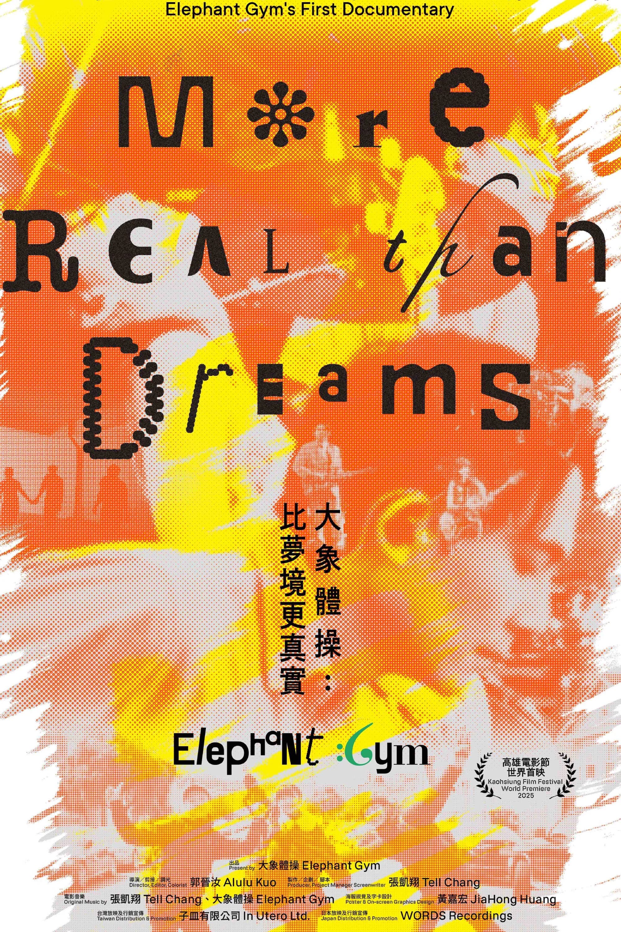 Poster for Elephant Gym: More Real Than Dreams
