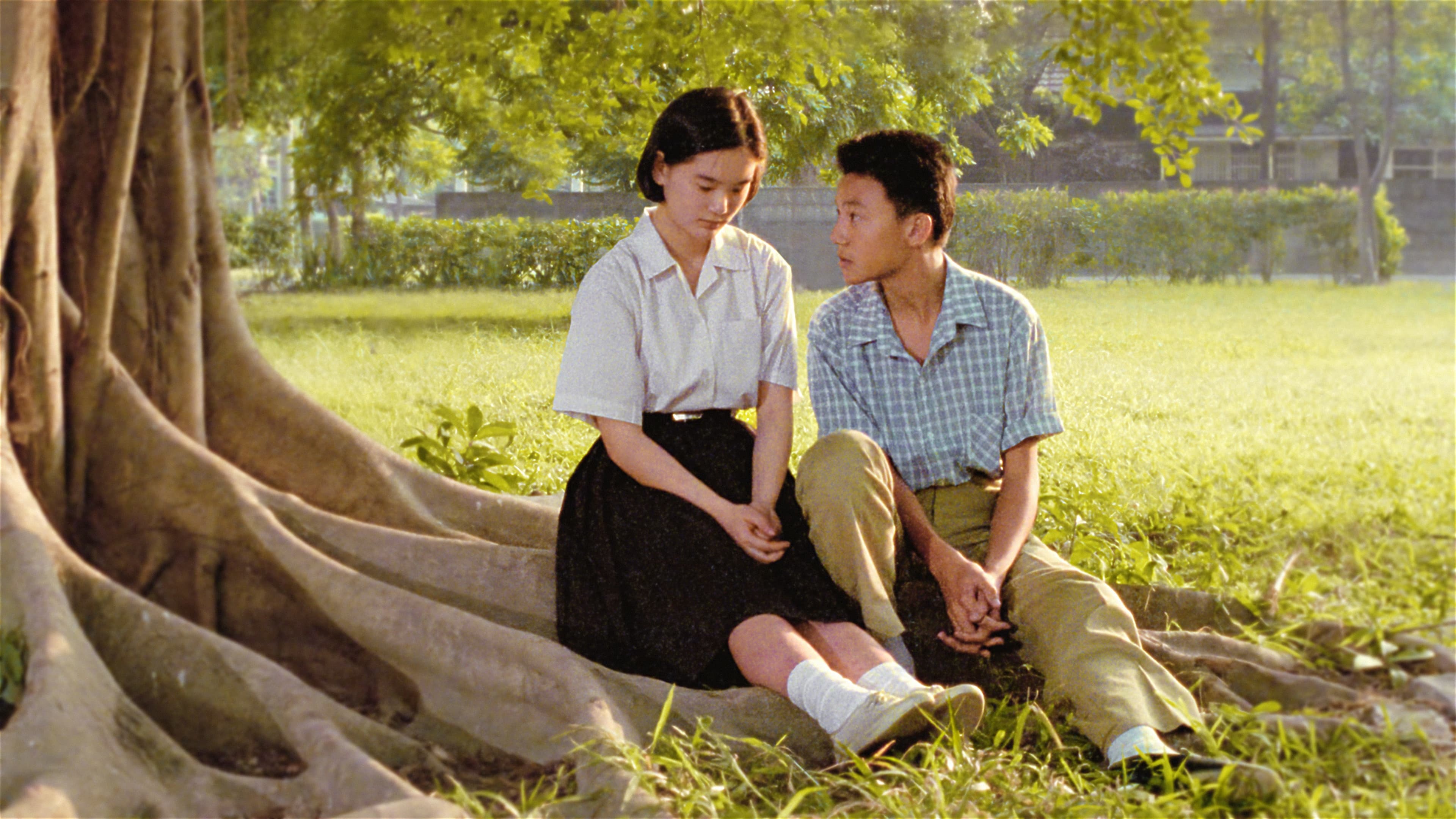 Backdrop for A Brighter Summer Day