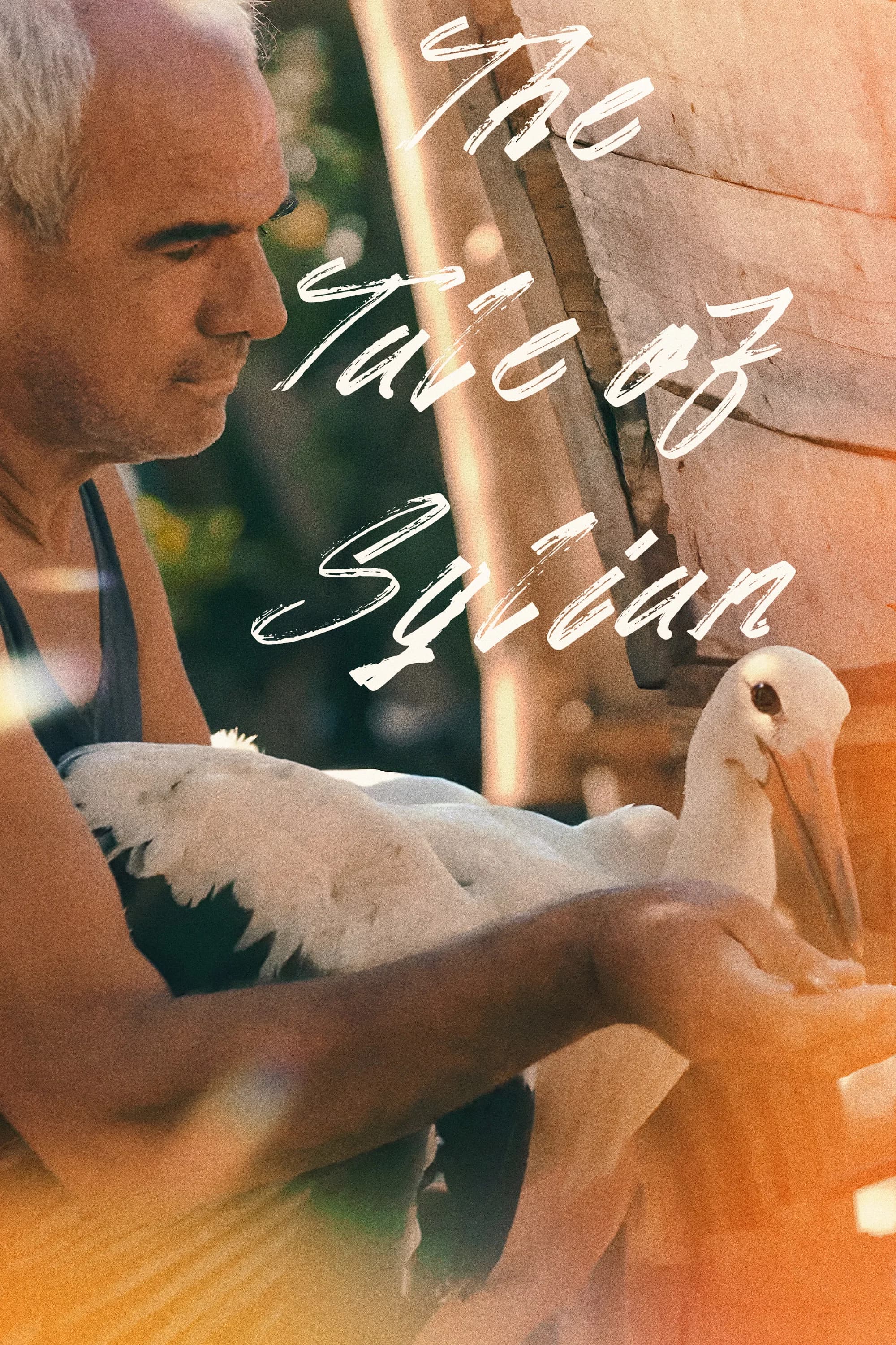 Poster for The Tale of Silyan