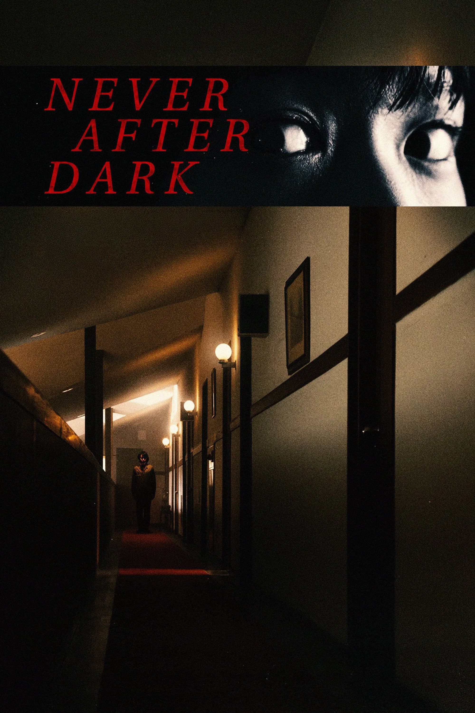 Poster for Never After Dark