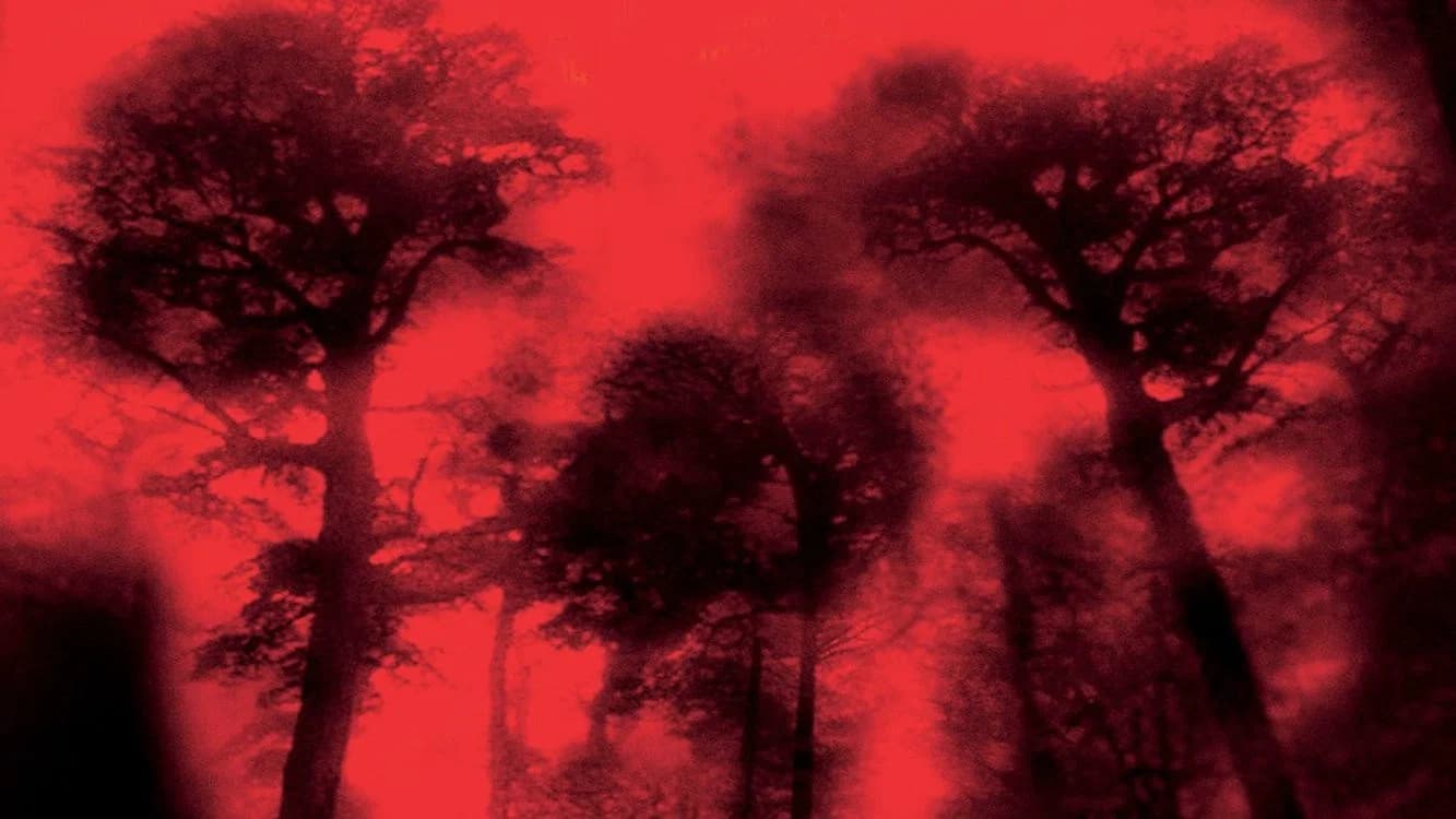 Backdrop for Cabin Fever