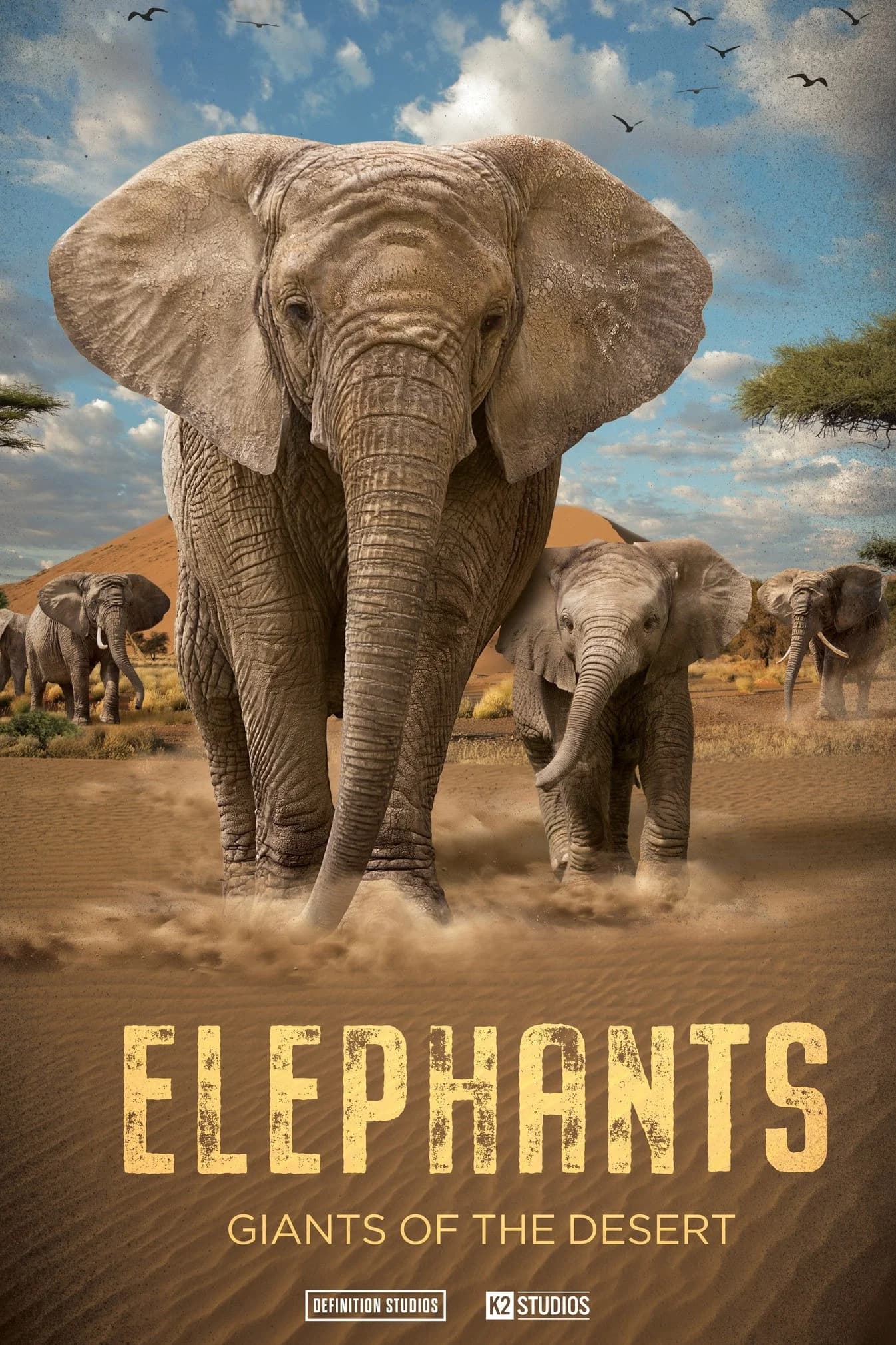 Poster for Elephants: Giants of the Desert