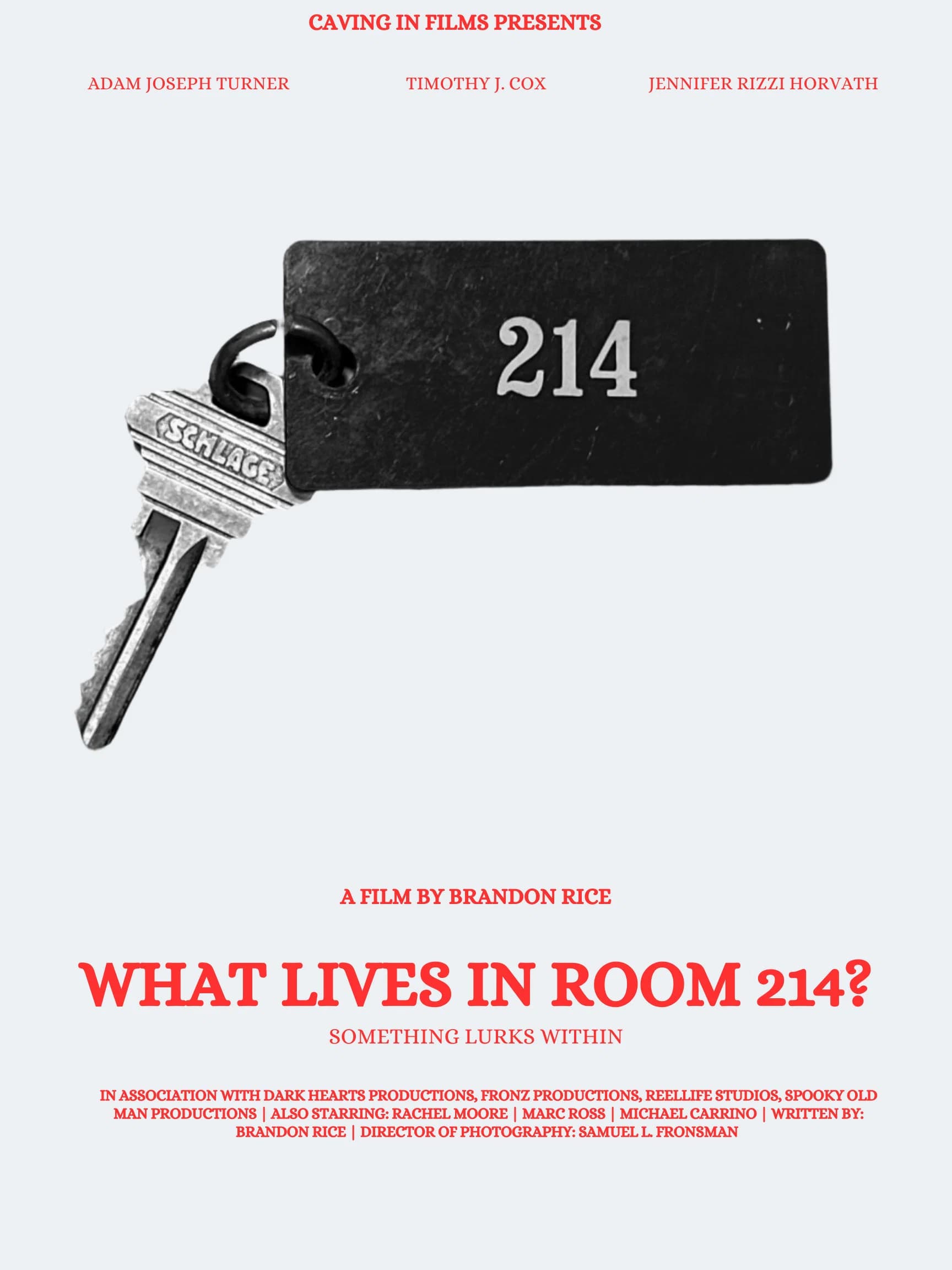 Poster for What Lives in Room 214?