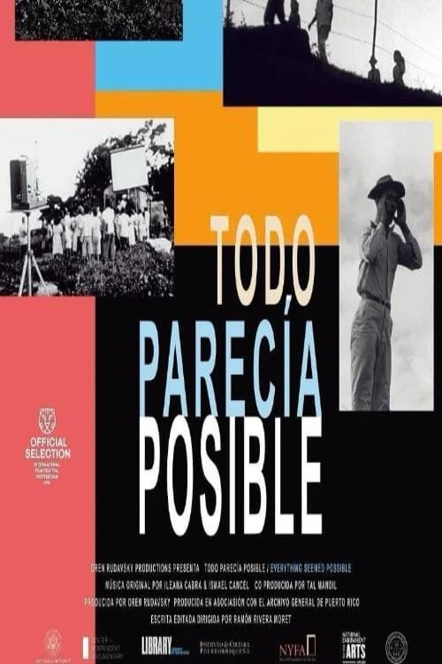 Poster for Everything Seemed Possible