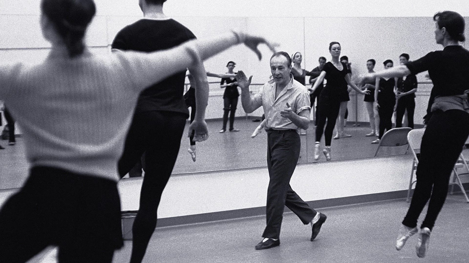 Backdrop for In Balanchine's Classroom