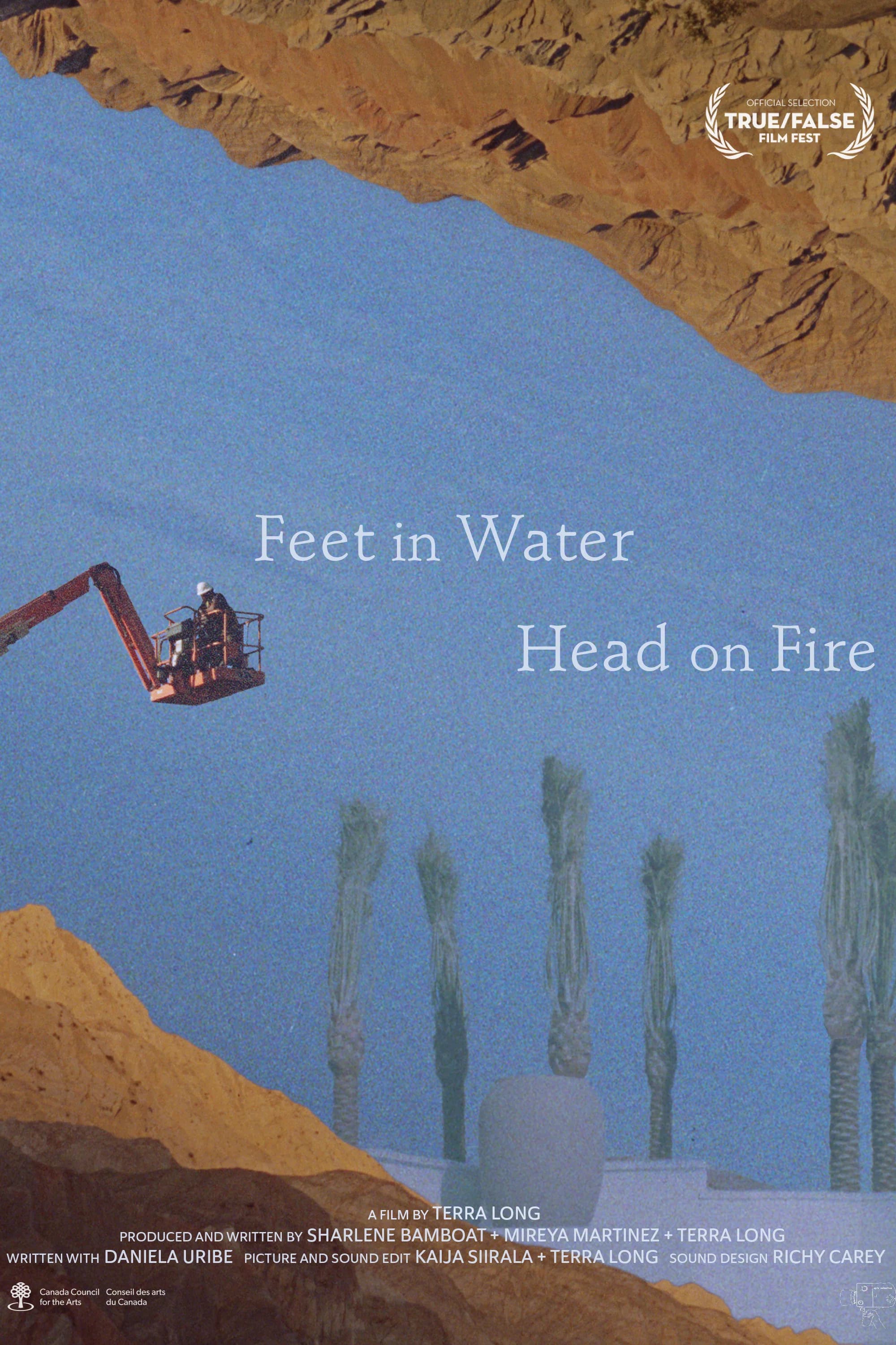 Poster for Feet in Water, Head on Fire