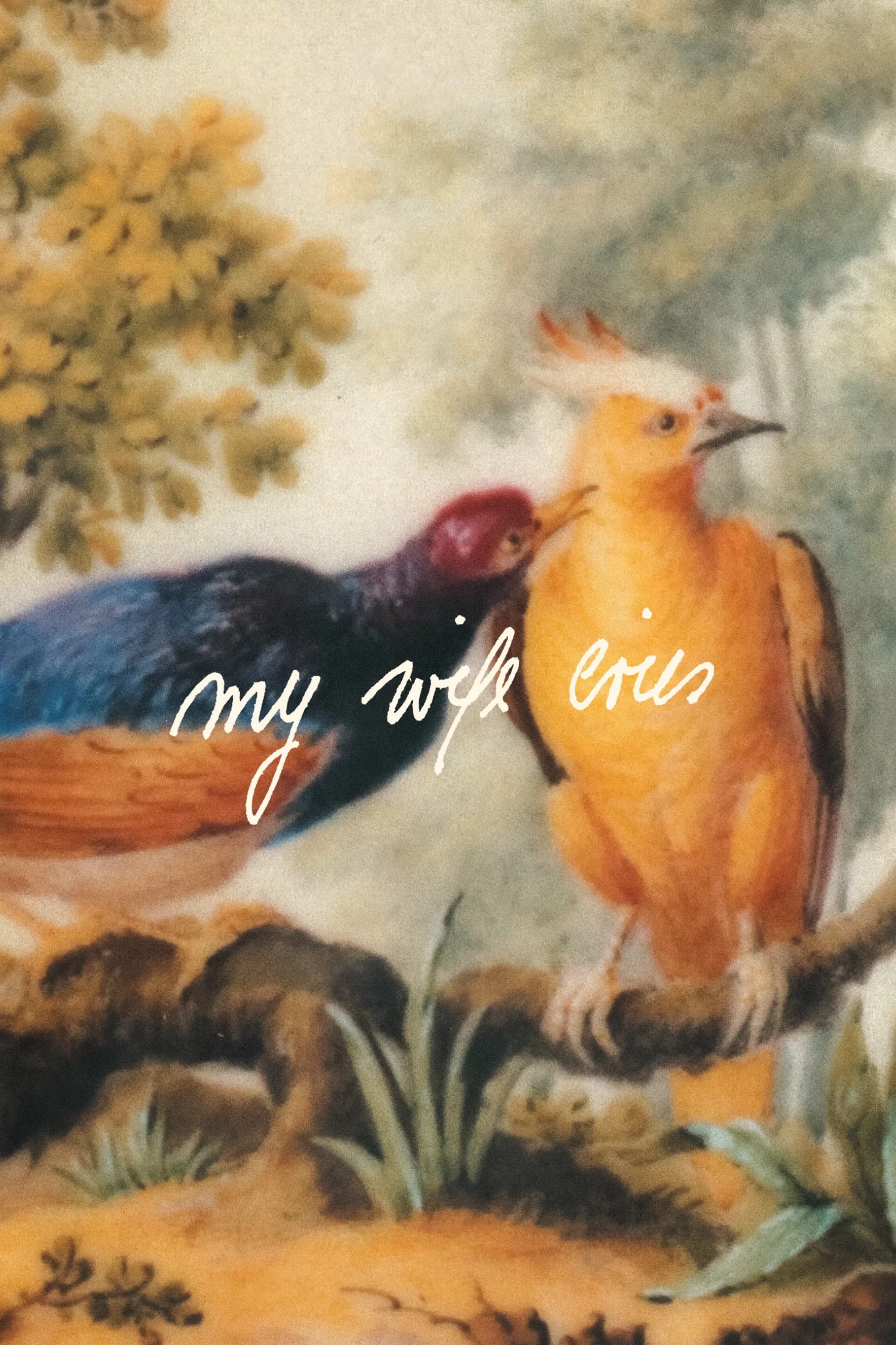 Poster for My Wife Cries