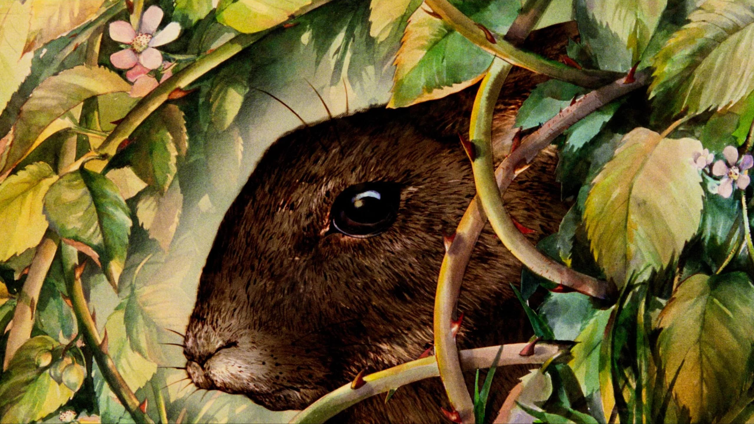 Backdrop for Watership Down