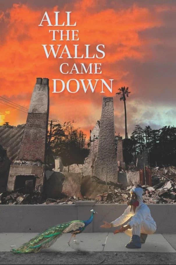 Poster for All the Walls Came Down