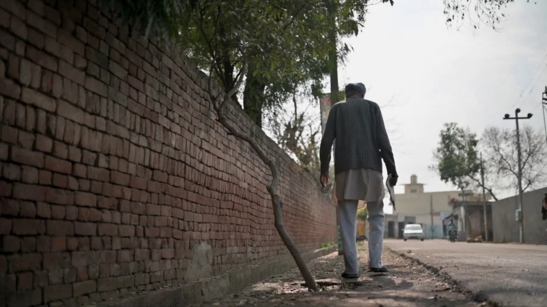 Backdrop for Kanwal