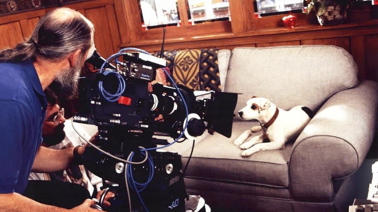Backdrop for What's the Story, Wishbone?