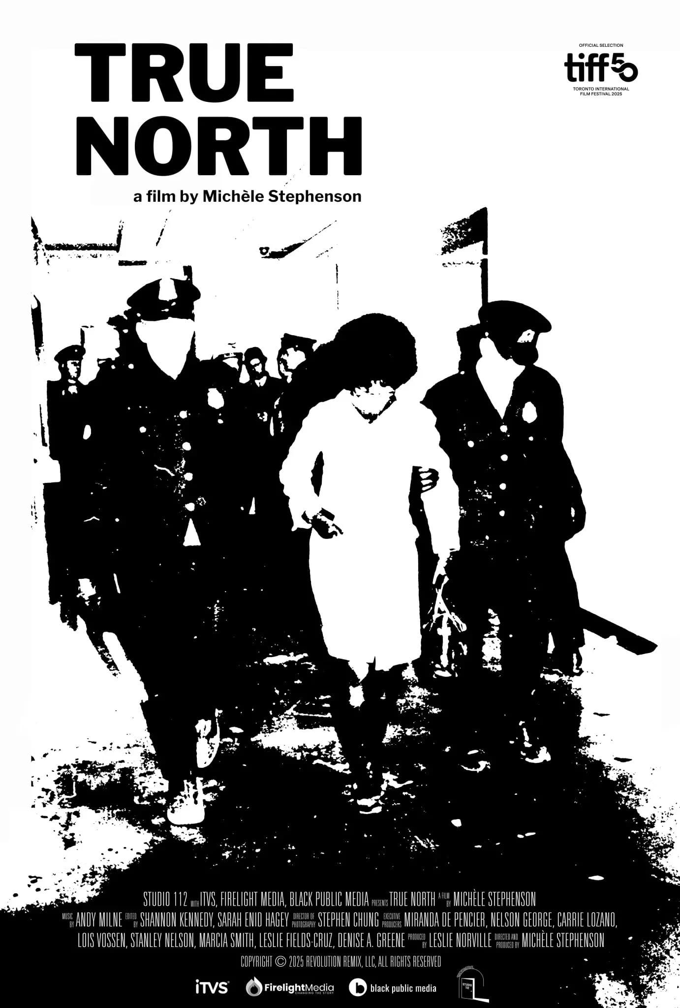 Poster for True North