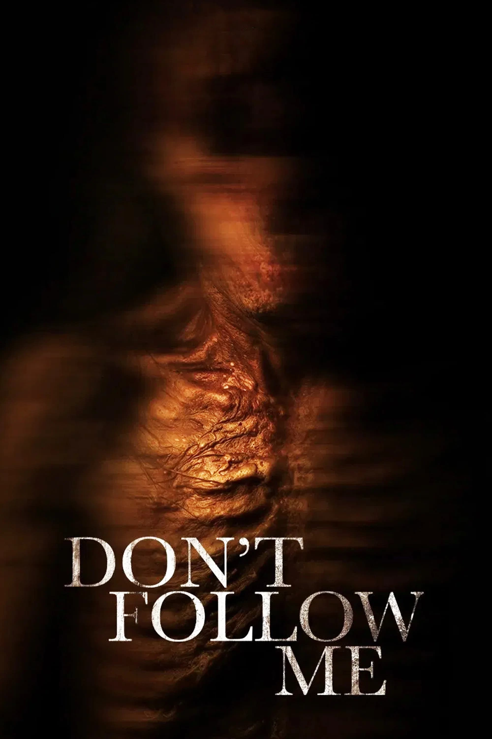 Poster for No Me Sigas