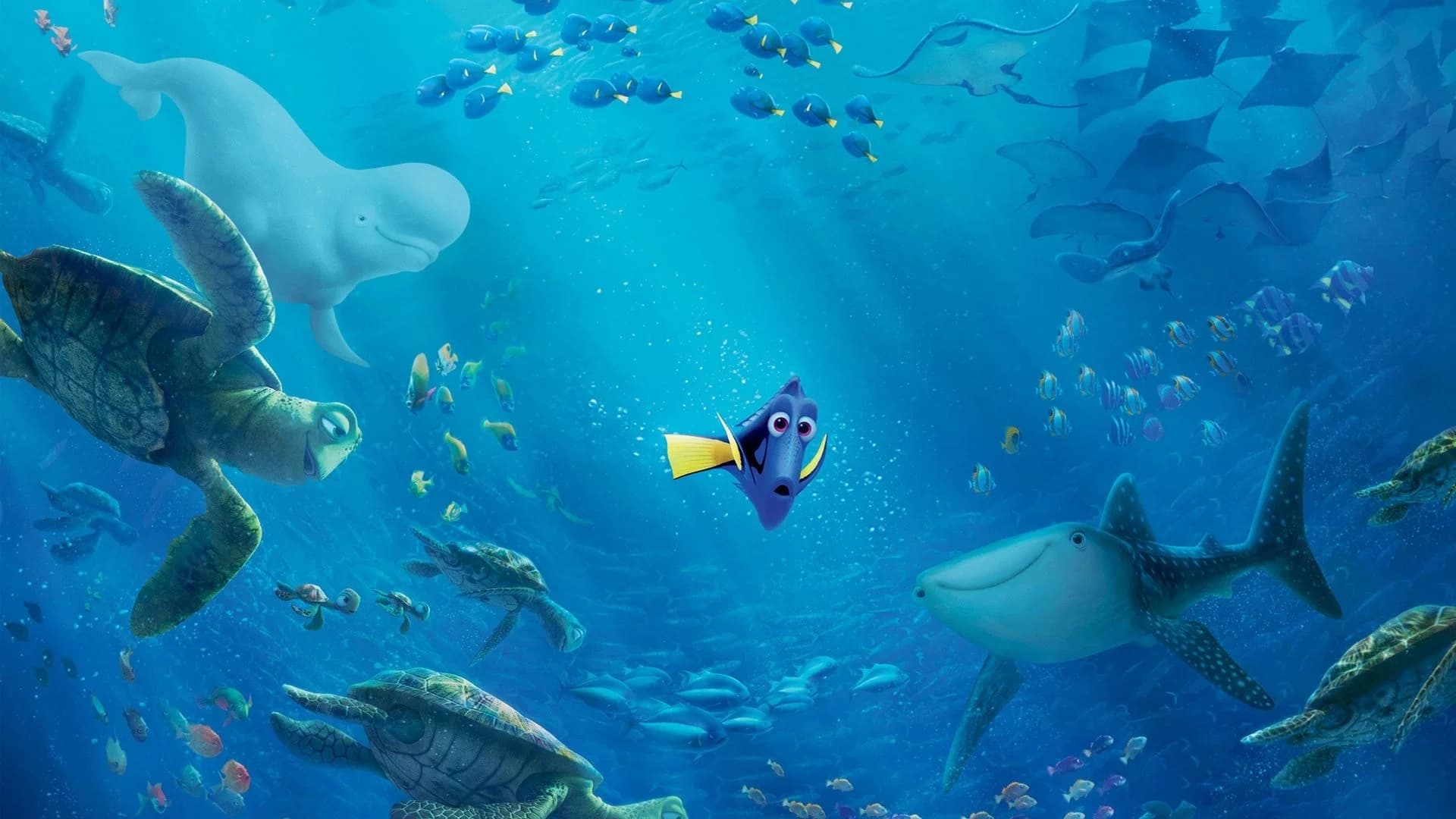 Backdrop for Finding Dory